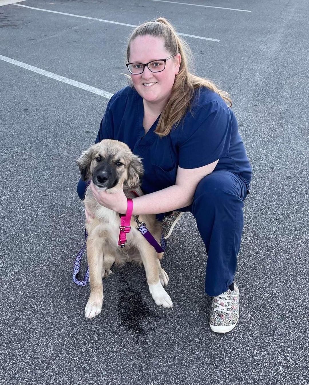 Here they come, Massachusetts! 🚐 

2️⃣6️⃣ animals are officially on their way to new beginnings. We are so grateful to the fosters, volunteers, and our wonderful transporter for making this happen. 💖 We could not do this without them! 

But wait! 🛑 We still have several animals who have yet to find their forever homes. Head to www.browndogcoalition.com to see who’s still waiting. ⏰