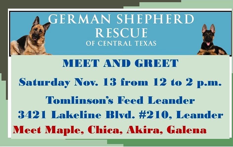 Come and meet our newest pups at Tomlinsons in Leander tomorrow from 12 to 2 p.m.  Hope to see you there.  www.gsdrescuectx.com. <a target='_blank' href='https://www.instagram.com/explore/tags/adoptdontshop/'>#adoptdontshop</a> <a target='_blank' href='https://www.instagram.com/explore/tags/germanshepherds/'>#germanshepherds</a> <a target='_blank' href='https://www.instagram.com/explore/tags/germanshepherdsofinstagram/'>#germanshepherdsofinstagram</a> <a target='_blank' href='https://www.instagram.com/explore/tags/germanshepherdsofaustin/'>#germanshepherdsofaustin</a> <a target='_blank' href='https://www.instagram.com/explore/tags/germanshepherdsofdallas/'>#germanshepherdsofdallas</a> <a target='_blank' href='https://www.instagram.com/explore/tags/germansherperdlovers/'>#germansherperdlovers</a> <a target='_blank' href='https://www.instagram.com/explore/tags/rescuedogsrule/'>#rescuedogsrule</a>❤️ <a target='_blank' href='https://www.instagram.com/explore/tags/rescueddogsrule/'>#rescueddogsrule</a> <a target='_blank' href='https://www.instagram.com/explore/tags/adoptadog/'>#adoptadog</a>