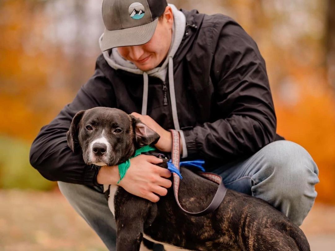 Beautiful @cardioforcanines on Saturday, captured by @madisonreneephoto 🍁🍂