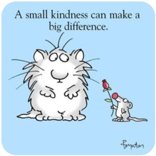 Today is World Kindness day. Let's promote the importance of being kind to each other, to yourself, and to the world. <a target='_blank' href='https://www.instagram.com/explore/tags/Worldkindnessday/'>#Worldkindnessday</a> <a target='_blank' href='https://www.instagram.com/explore/tags/CreatingPAWsitiveImpact/'>#CreatingPAWsitiveImpact</a>