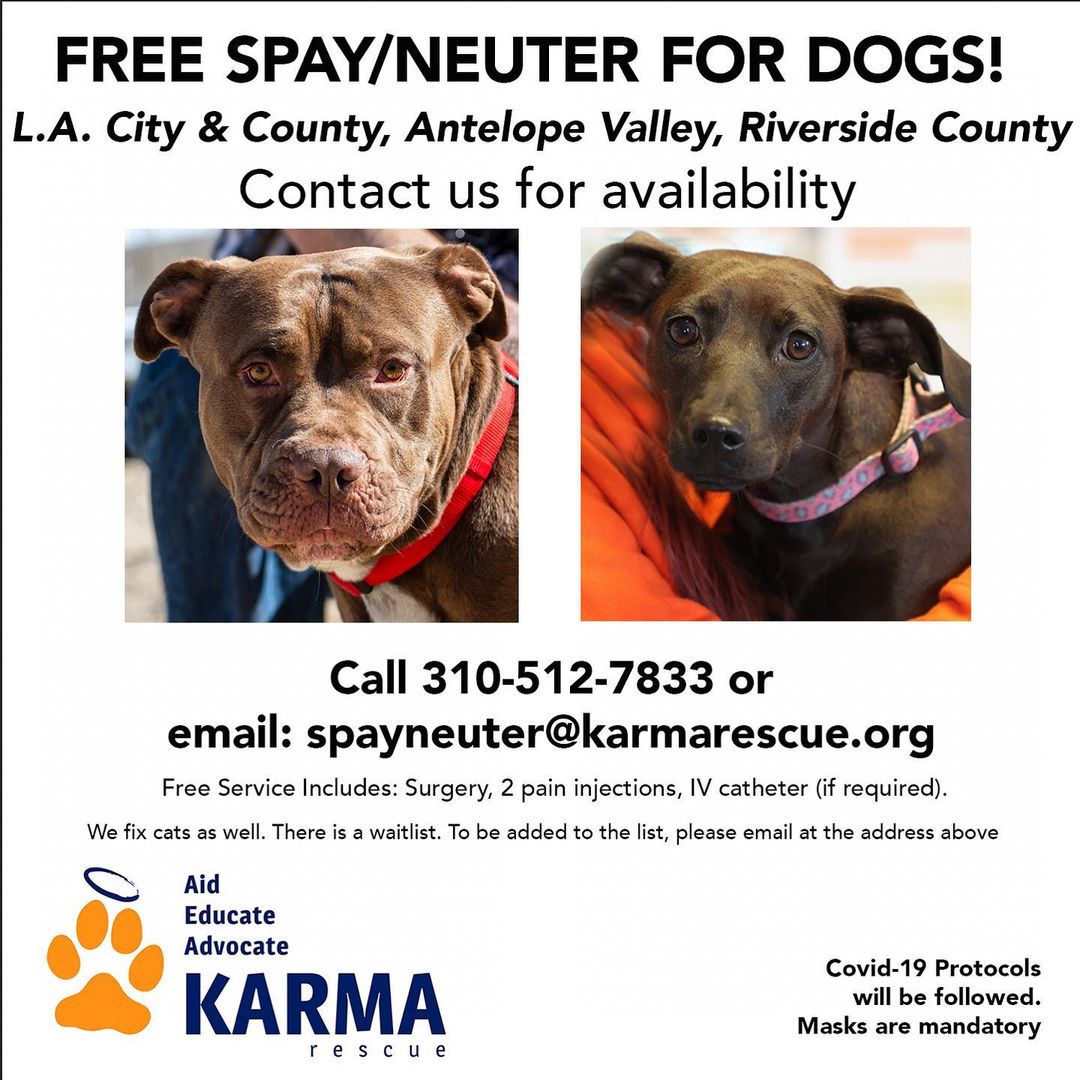 Calling all dog parents! We're offering FREE spay/neuter appointments to dogs in all the L.A. area, Antelope Valley and Riverside County! We have a lot of appointments available for dogs, so if you have a dog companion that needs to be 