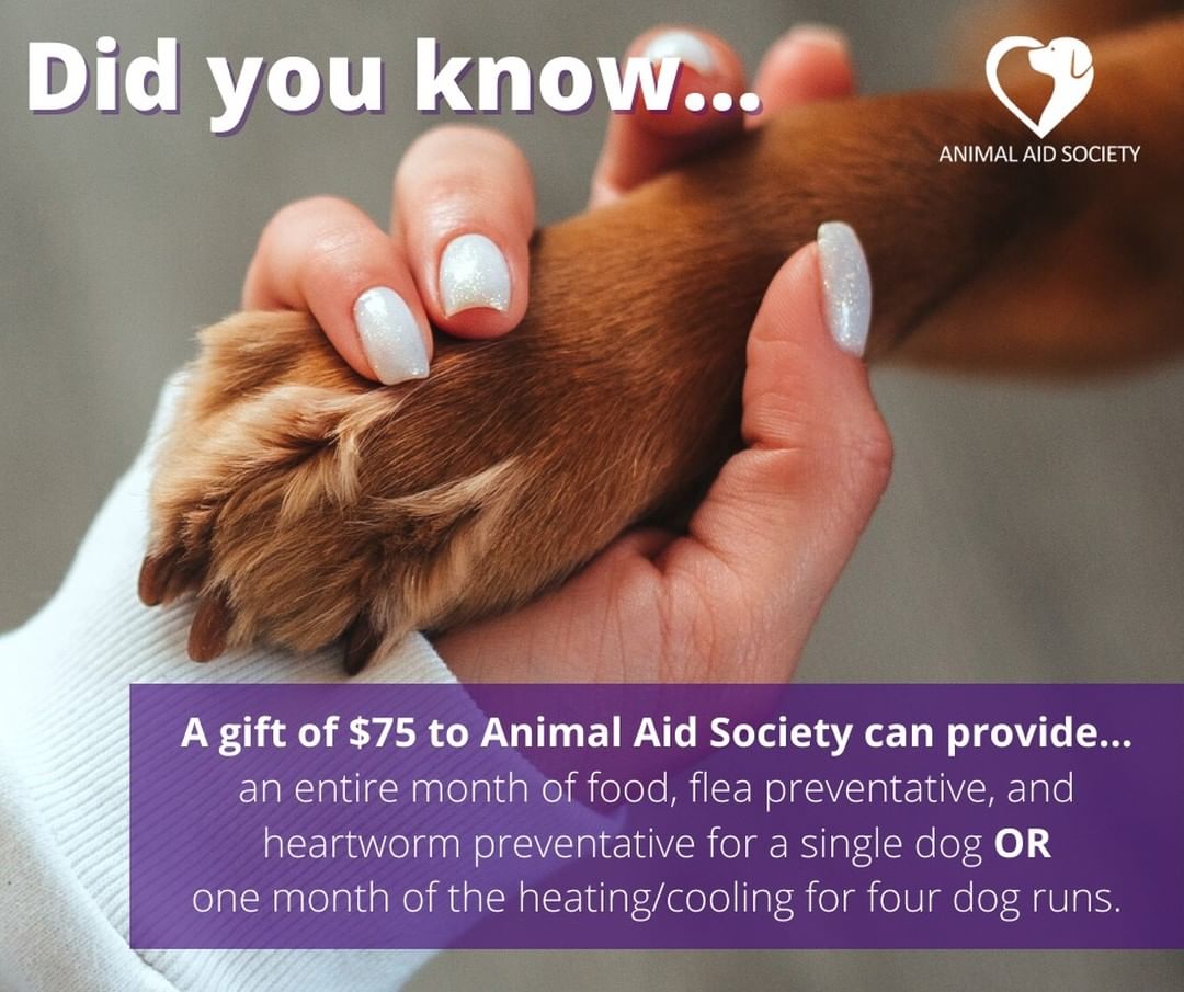 We want to thank everyone who participated in the recent Animal Aid Society Nail Bar Fundraiser and remind you of just how far your dollars will go!

Did you know? A gift of $75 to Animal Aid Society can provide an entire month of food, flea preventative, and heartworm preventative for a single dog OR one month of the heating/cooling for four dog runs! That's incredible! 🤩

If you would like to donate to Animal Aid Society, please use the donate button on our profile. Keep watching for more ways you can help make a difference! 🐾

<a target='_blank' href='https://www.instagram.com/explore/tags/fundraising/'>#fundraising</a> <a target='_blank' href='https://www.instagram.com/explore/tags/GivingEveryTuesday/'>#GivingEveryTuesday</a> <a target='_blank' href='https://www.instagram.com/explore/tags/ThankYou/'>#ThankYou</a> <a target='_blank' href='https://www.instagram.com/explore/tags/EveryPennyCounts/'>#EveryPennyCounts</a> <a target='_blank' href='https://www.instagram.com/explore/tags/doitforthedogs/'>#doitforthedogs</a> <a target='_blank' href='https://www.instagram.com/explore/tags/giveback/'>#giveback</a> <a target='_blank' href='https://www.instagram.com/explore/tags/GivingTuesday/'>#GivingTuesday</a> <a target='_blank' href='https://www.instagram.com/explore/tags/AnimalAidSociety/'>#AnimalAidSociety</a> <a target='_blank' href='https://www.instagram.com/explore/tags/donate/'>#donate</a> 

If you missed out on the fundraiser, but are still interested in ordering some amazing Color Street products, please visit www.colorstreet.com/ashleyan84