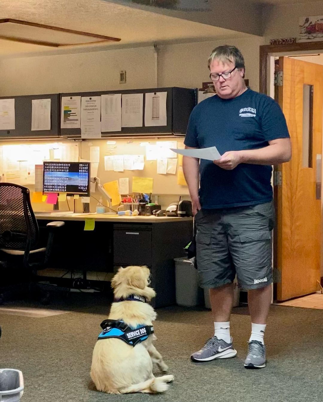 When we first rescued Walter, he was on his way into the shelter in a basket. Our team intervened as we knew he was destined for a better life, but we never imagined this…… Last week Walter was placed as a certified PFL service dog with the Los Angeles County Fire Department, Fire Crew <a target='_blank' href='https://www.instagram.com/explore/tags/12/'>#12</a>.

Thanks to the hard work of our incarcerated trainers at Mule Creek State Prison, and our outstanding trainer Cherie, Walter received specialized training to relieve stress and provide comfort to firefighters on the front lines. Battling wildfires can take an emotional and physical toll on firefighters, but Walter has come to the rescue. 

As the firefighters were being trained to navigate their new service dog, Walter demonstrated his skills performing over 30 commands flawlessly.

Paws For Life K9 Rescue is proud to offer this amazing resource to the County of Los Angeles and continue to find innovative ways to impact the lives of first
responders and the community at large. 

Drop a ❤️ in the comments if you love Walter! 

<a target='_blank' href='https://www.instagram.com/explore/tags/savinglivesoneverylevel/'>#savinglivesoneverylevel</a>
<a target='_blank' href='https://www.instagram.com/explore/tags/servicedog/'>#servicedog</a> <a target='_blank' href='https://www.instagram.com/explore/tags/firedog/'>#firedog</a> <a target='_blank' href='https://www.instagram.com/explore/tags/ladogrescue/'>#ladogrescue</a> <a target='_blank' href='https://www.instagram.com/explore/tags/lafirecamp/'>#lafirecamp</a> <a target='_blank' href='https://www.instagram.com/explore/tags/shelterdogsofinstagram/'>#shelterdogsofinstagram</a> <a target='_blank' href='https://www.instagram.com/explore/tags/prisonreform/'>#prisonreform</a>