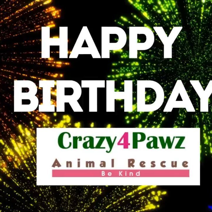 🥳 Happy Birthday, Crazy4Pawz!!! 
It’s been two years since the intake of our first animal, Blacky, a parvo pup that was set to be euthanized at our local shelter.  Yup, we hit the road running and haven’t stopped yet!  As of today, we have taken in over 200 Animals in our rescue.  Each one is placed in a loving foster home and receives the best veterinarian care. Most of the animals need medical care, dentals, shots, microchips and we rely on donations to keep the rescue going. We are still an ALL VOLUNTEER and Foster-Based Rescue, all the donations go straight back into running the rescue. We also have pups that are still under our care in a hospice situation. 

All our animals go into loving homes with Martingale Collars, Leashes, Food, Treats, Bed/Blanket, and Toys. This all takes donations from the public, we are not government-funded and rely on our wonderful supports to help us continue to save animals. 
We would like to celebrate this with a fundraiser, 2k for our 2-years in Rescue and over 200 animals saved.  Please help us reach our goal, you can donate by hitting the donate button on the Facebook Fundraiser.  Other ways are:
Zelle & Paypal – Donate@Crazy4Pawz.org
Or you can send a check to: Crazy4Pawz Animal Rescue, 1000 N. Green Valley Parkway <a target='_blank' href='https://www.instagram.com/explore/tags/440/'>#440</a>-253, Henderson, NV 89074. 
Please let me know if you need a tax-deductible receipt. 

Please join me in supporting a good 🐾
Facebook pays all the processing fees for you, so 100% of your donation goes directly to the nonprofit.

https://www.facebook.com/donate/4471492662958235/