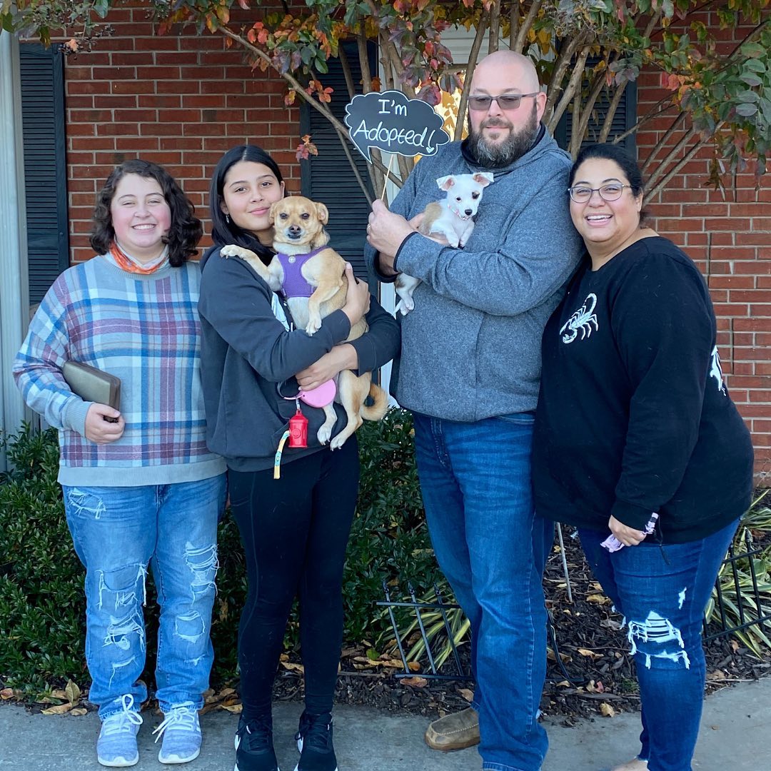 Our November adoptees are heading home in style for the paw-lidays!😻 Here's to fur-ever for these furkids!🧡 <a target='_blank' href='https://www.instagram.com/explore/tags/furkids/'>#furkids</a> <a target='_blank' href='https://www.instagram.com/explore/tags/adoptdontshop/'>#adoptdontshop</a>