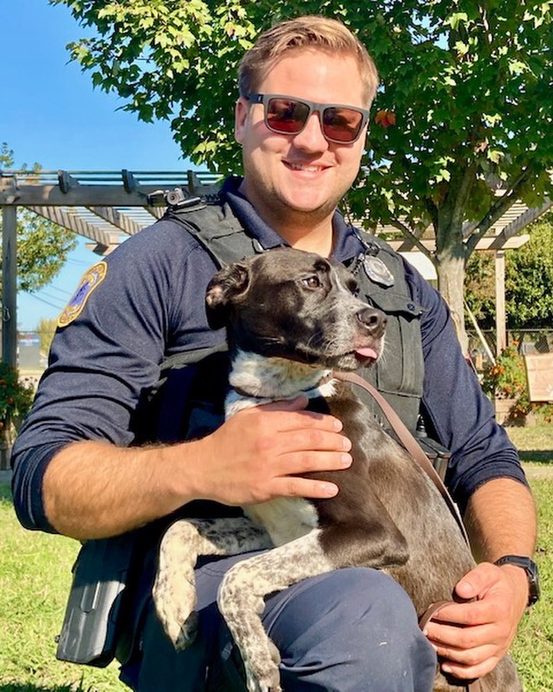 Time for another Norfolks <a target='_blank' href='https://www.instagram.com/explore/tags/finestandfurriest/'>#finestandfurriest</a> with the @norfolkpd ! The animals are always so thrilled to hang out with some new faces while they wait for their adoption day. Thanks to all of the Officers and Corporal for coming to spend time with our animals. Interested in coming by to view the adoptable animals also? Pop over to our website where you can make an appointment during the week, or on weekends no appointments needed. All of our adoptable animals can also be viewed online! www.norfolk.gov/NACC 

Picture 1: Officer Tako & Happy the senior cat. 
Picture 2: Officers Tako & Martin with 2 adopted kittens. 
Picture 3: Officer Martin with Boss the hamster. 
Picture 4: Officer Taylor & Moth Man. 
Picture 5: Officer Irizarry & Lola (adopted)
Picture 6: Officer Tako & CJ (transferred to another rescue)
Picture 7: Officer Irizarry & Rebound (adopted)
Picture 8: Corporal Valdez & Watson (adopted)
Picture 9: Officer Martin & Teddy (adopted)
Picture 10: Officers Tako & Martin with Jackalope. 

<a target='_blank' href='https://www.instagram.com/explore/tags/adoptnacc/'>#adoptnacc</a> <a target='_blank' href='https://www.instagram.com/explore/tags/fosternacc/'>#fosternacc</a> 
☎️ 757-441-5505
📧 nacc@norfolk.gov
📍 5585 Sabre Road Norfolk, Virginia 23502