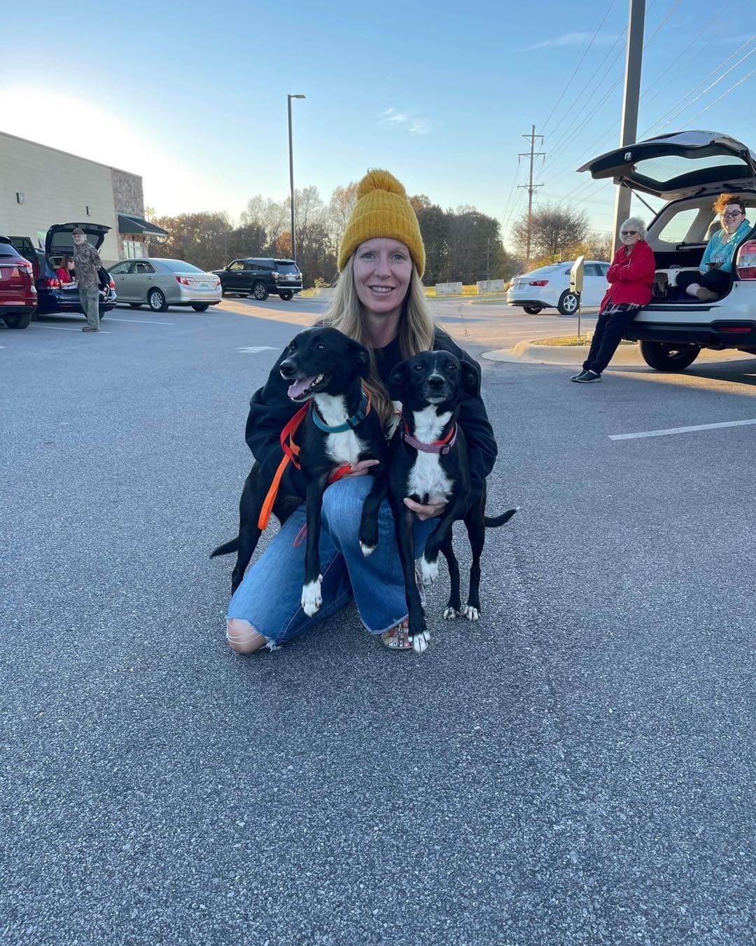 Here they come, Massachusetts! 🚐 

2️⃣6️⃣ animals are officially on their way to new beginnings. We are so grateful to the fosters, volunteers, and our wonderful transporter for making this happen. 💖 We could not do this without them! 

But wait! 🛑 We still have several animals who have yet to find their forever homes. Head to www.browndogcoalition.com to see who’s still waiting. ⏰