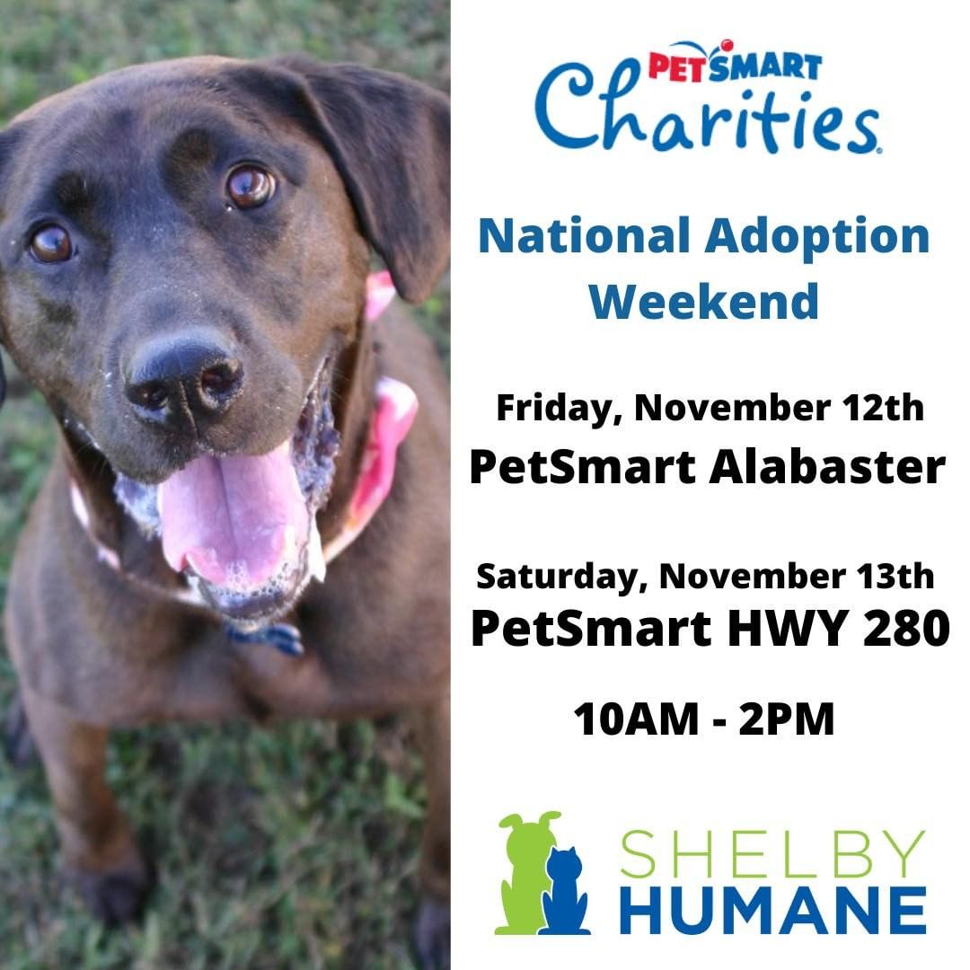 Visit us today and tomorrow at PetSmart! 

The adoption fee for puppies is $50 and the adoption fee for dogs/cats/kittens is only $5 with the donation of a blanket or canned cat food.