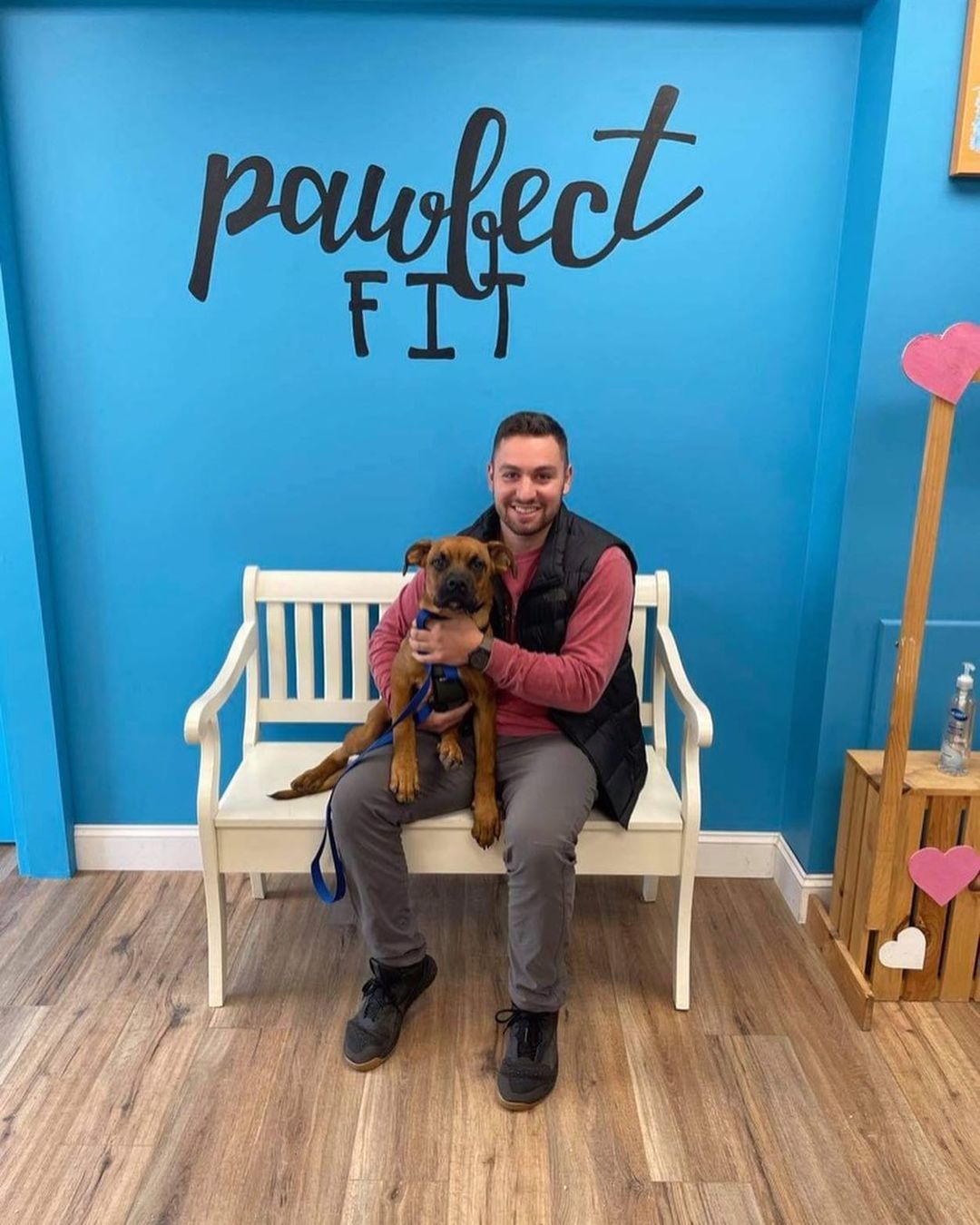 Take Home Tuesday! 🐾

We are celebrating 🎉heartwarming adoptions in this chilly morning! 

These wonderful families adopted some amazing pups! 
Thank you all for giving these babies a second chance. 💕

<a target='_blank' href='https://www.instagram.com/explore/tags/pawfectliferescue/'>#pawfectliferescue</a> <a target='_blank' href='https://www.instagram.com/explore/tags/adoptdontshop/'>#adoptdontshop</a> <a target='_blank' href='https://www.instagram.com/explore/tags/rescuefamily/'>#rescuefamily</a> <a target='_blank' href='https://www.instagram.com/explore/tags/rescueismyfavoritebreed/'>#rescueismyfavoritebreed</a> <a target='_blank' href='https://www.instagram.com/explore/tags/welcomehome/'>#welcomehome</a>
