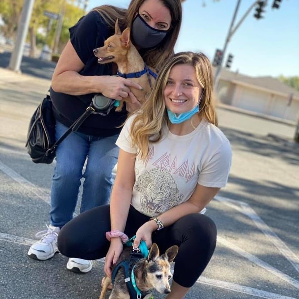 💜We are thrilled to announce these adoptions💜We have Songbird EltonJohn. Her fosters fell in love with her and decided she’s not going anywhere. Also adopted this week is Daiquiri Cocktail and Bellini Cocktail. 
Mojito cocktail (white poodle) mimosa (kitten), sweet Angeline, Boomerang cocktail, Streaker 11, Faina, and Old friend! ❤️
Thank you for choosing to adopt 🐾