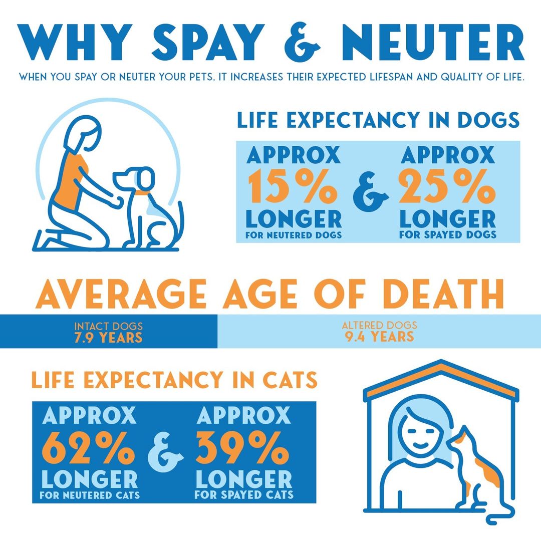 Spaying and neutering your pets helps prevent them from wandering which helps ensure their safety. It also helps put an end to pet overpopulation. Save a life! Spray and neuter! 

If you would like to support TLHS and Save Our Shelter, donate on our website.

<a target='_blank' href='https://www.instagram.com/explore/tags/TLHS/'>#TLHS</a> <a target='_blank' href='https://www.instagram.com/explore/tags/SaveOurShelter/'>#SaveOurShelter</a> <a target='_blank' href='https://www.instagram.com/explore/tags/SOS/'>#SOS</a> <a target='_blank' href='https://www.instagram.com/explore/tags/SpayAndNeuter/'>#SpayAndNeuter</a>