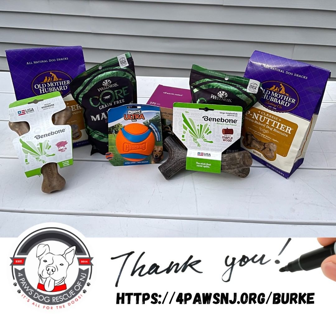 Thanks Cheryl for this awesome gift package you sent to Burke. He loves everything. 
Anyone who would like to send goodies to Burke can do so from his Amazon wishlist at https://4pawsnj.org/burke. All items are tax deductible and ship directly to Burke.