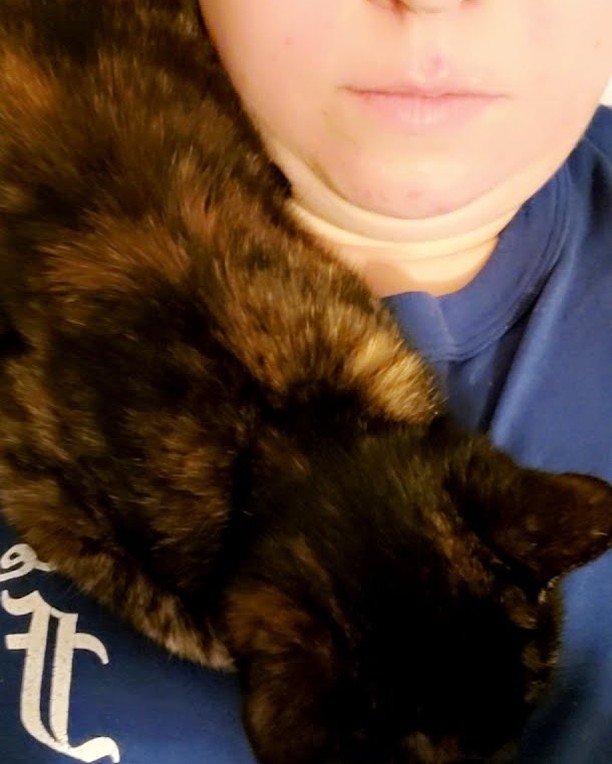 While this doesn't happen often; it seems we adopted out a parrot under the guise of a kitten! Ember (formerly Eudora) absolutely adores her new momma Brittany and prefers to either perch on her shoulder or snuggle into her arm. She takes 