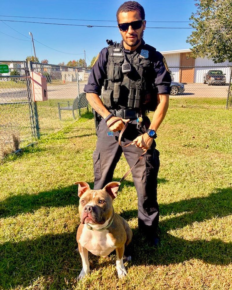 Time for another Norfolks <a target='_blank' href='https://www.instagram.com/explore/tags/finestandfurriest/'>#finestandfurriest</a> with the @norfolkpd ! The animals are always so thrilled to hang out with some new faces while they wait for their adoption day. Thanks to all of the Officers and Corporal for coming to spend time with our animals. Interested in coming by to view the adoptable animals also? Pop over to our website where you can make an appointment during the week, or on weekends no appointments needed. All of our adoptable animals can also be viewed online! www.norfolk.gov/NACC 

Picture 1: Officer Tako & Happy the senior cat. 
Picture 2: Officers Tako & Martin with 2 adopted kittens. 
Picture 3: Officer Martin with Boss the hamster. 
Picture 4: Officer Taylor & Moth Man. 
Picture 5: Officer Irizarry & Lola (adopted)
Picture 6: Officer Tako & CJ (transferred to another rescue)
Picture 7: Officer Irizarry & Rebound (adopted)
Picture 8: Corporal Valdez & Watson (adopted)
Picture 9: Officer Martin & Teddy (adopted)
Picture 10: Officers Tako & Martin with Jackalope. 

<a target='_blank' href='https://www.instagram.com/explore/tags/adoptnacc/'>#adoptnacc</a> <a target='_blank' href='https://www.instagram.com/explore/tags/fosternacc/'>#fosternacc</a> 
☎️ 757-441-5505
📧 nacc@norfolk.gov
📍 5585 Sabre Road Norfolk, Virginia 23502