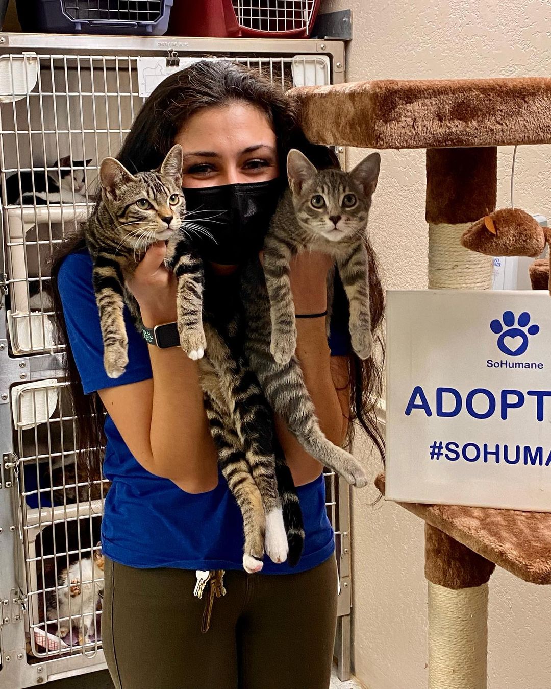 Lots of adoptions this past week! 47 total from Tuesday to today!🥳🎉 

A couple of our long term kitties, Jennings and Magnolia found their homes❤️

Said goodbye to lots of puppies and kittens😸🐶

Had a few other adult cats and adult dogs adopted as well! 

Big congrats to all the animals and their new families and we wish lots of love and happiness on all the new journeys!🥰