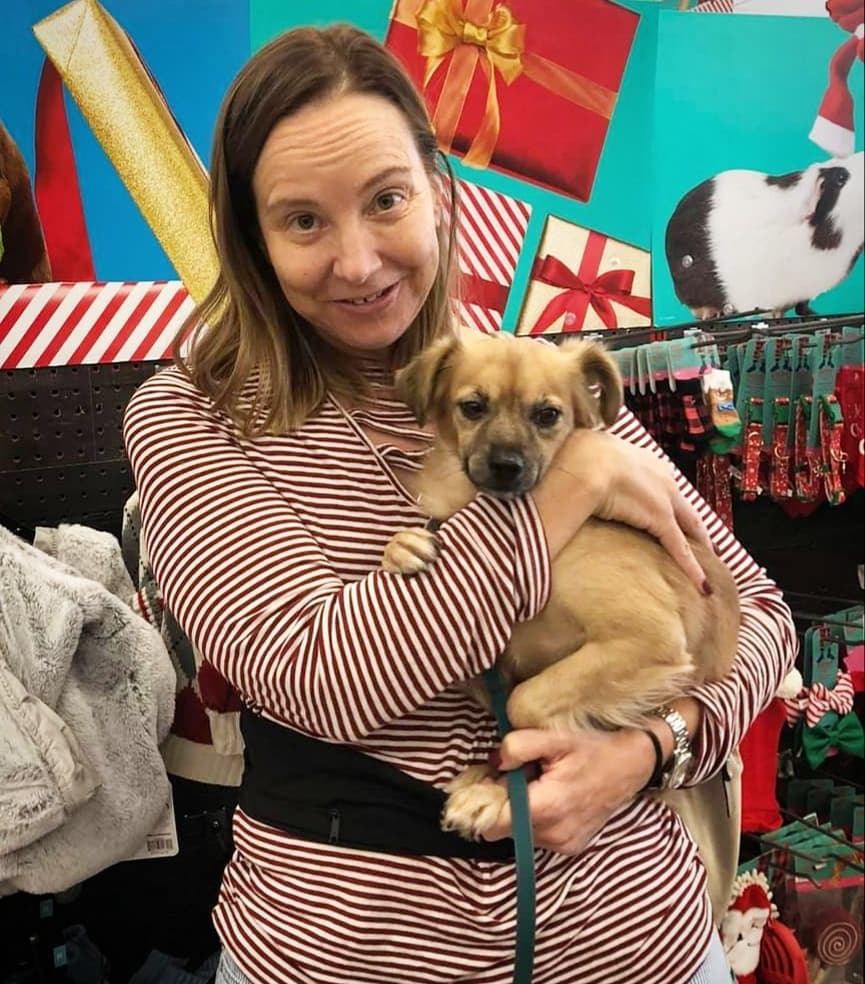 🏡 Awesome Adoptions Part Two 🎉🐾🎉
These happy photos are a combination of our PETCO Store Tour debut last week and recent adoptions this week 💖

1) Amber the gorgeous American Shorthair found an amazing home
2) Shortcake the ginger 
3) Missy Lulu the mama terrier mix 
4) Rain the tortie kitten 
5) Jack Skellington the ginger kitten 
6) Squiggy the chihuahua 
7) Blueberry the ginger kitten 
8) Georgie Girl the pantherette 
9 + 10) Siblings Dotti and Orange Boy went home together 

All this happiness is possible because of our dedicated fosters, volunteers, staff, supporters and especially our adopters who help us save lives. 

Thank you 🙏🏼🙏🏼🙏🏼
We love you all ❤

<a target='_blank' href='https://www.instagram.com/explore/tags/allaboutanimalsrescueaz/'>#allaboutanimalsrescueaz</a> <a target='_blank' href='https://www.instagram.com/explore/tags/savealife/'>#savealife</a> <a target='_blank' href='https://www.instagram.com/explore/tags/compassioninaction/'>#compassioninaction</a> <a target='_blank' href='https://www.instagram.com/explore/tags/adoptdontshop/'>#adoptdontshop</a> <a target='_blank' href='https://www.instagram.com/explore/tags/rescuedismyfavoritebreed/'>#rescuedismyfavoritebreed</a> <a target='_blank' href='https://www.instagram.com/explore/tags/rescuefosteradopt/'>#rescuefosteradopt</a> <a target='_blank' href='https://www.instagram.com/explore/tags/fosteringsaveslives/'>#fosteringsaveslives</a> <a target='_blank' href='https://www.instagram.com/explore/tags/thinkadoptionfirst/'>#thinkadoptionfirst</a> <a target='_blank' href='https://www.instagram.com/explore/tags/lovechangeseverything/'>#lovechangeseverything</a> <a target='_blank' href='https://www.instagram.com/explore/tags/allyouneedislove/'>#allyouneedislove</a> <a target='_blank' href='https://www.instagram.com/explore/tags/ifoundmyfureverhome/'>#ifoundmyfureverhome</a> <a target='_blank' href='https://www.instagram.com/explore/tags/happyeverafter/'>#happyeverafter</a> <a target='_blank' href='https://www.instagram.com/explore/tags/happytails/'>#happytails</a> <a target='_blank' href='https://www.instagram.com/explore/tags/fureverhome/'>#fureverhome</a> <a target='_blank' href='https://www.instagram.com/explore/tags/supportrescue/'>#supportrescue</a> <a target='_blank' href='https://www.instagram.com/explore/tags/fromthestreetstothesheets/'>#fromthestreetstothesheets</a> <a target='_blank' href='https://www.instagram.com/explore/tags/weloveouradopters/'>#weloveouradopters</a> <a target='_blank' href='https://www.instagram.com/explore/tags/gratitude/'>#gratitude</a> <a target='_blank' href='https://www.instagram.com/explore/tags/thankful/'>#thankful</a> <a target='_blank' href='https://www.instagram.com/explore/tags/rescueworks/'>#rescueworks</a> <a target='_blank' href='https://www.instagram.com/explore/tags/rescuepetsrock/'>#rescuepetsrock</a> <a target='_blank' href='https://www.instagram.com/explore/tags/thankyouforchoosingadoption/'>#thankyouforchoosingadoption</a> <a target='_blank' href='https://www.instagram.com/explore/tags/helpussavelives/'>#helpussavelives</a>