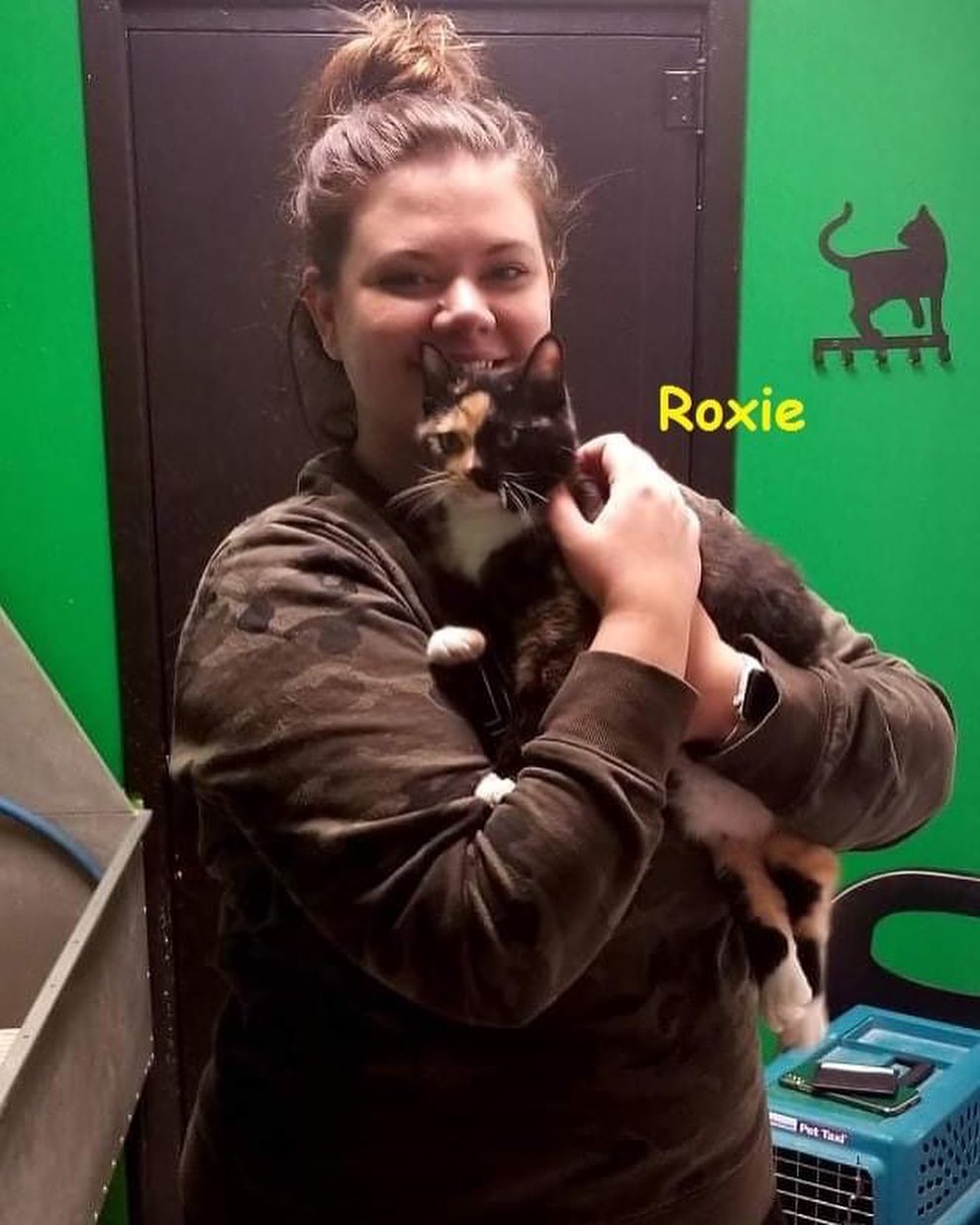 WEEKLY ADOPTION UPDATE - Seven kitties were adopted and are all snuggled into their new homes this week.  Congratulations to Roxie, Luciffa, Cybill & Karma (went together), Bellatrix (adopted by her foster mom), Stormy, and Maxine! (Maxine had been waiting for close to a year and a half so we are especially thrilled for her!) We wish you and your new families the very very best! 💛💛💛