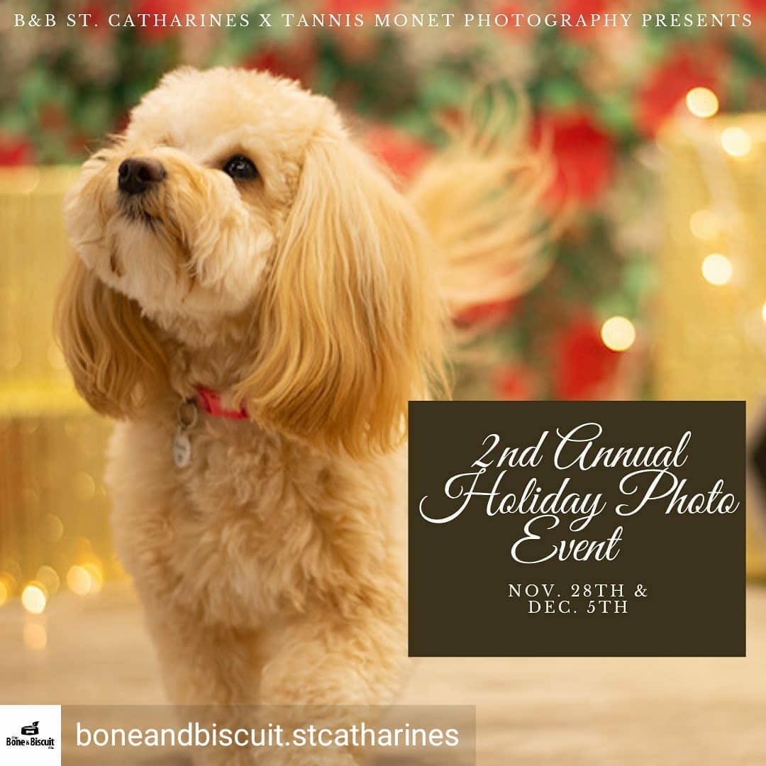 📸 Reposted from @boneandbiscuit.stcatharines It’s back! Bone & Biscuit St. Catharines is once again excited to partner with @tannismonetphotography to bring you our 2nd Annual Holiday Photo Event on Nov. 28th and Dec. 5th! Photo sessions will be 15 minutes and run by appointment only. All COVID measures will remain in place (masking required unless in photo). We are asking for a minimum donation to @petsaliveniagara of $15 or a  requested item off their wish list for the sitting which includes 1 digital photograph. Additional prints & packages of the session will be for sale through the photographer. Spaces are limited and fill up fast! Please call the store at 905-688-8353 to book your spot today!