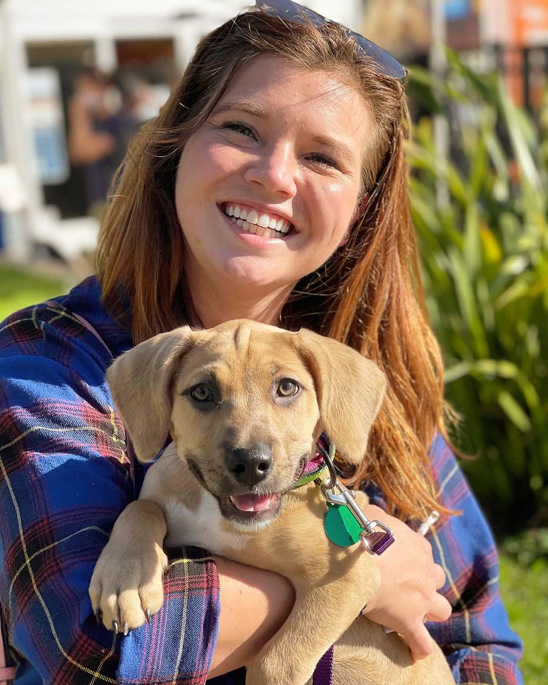 Harley Sage was adopted by Allison! She will be enjoying trips to the river, going on hikes and outdoor adventures with her canine brother. Another perfect match!