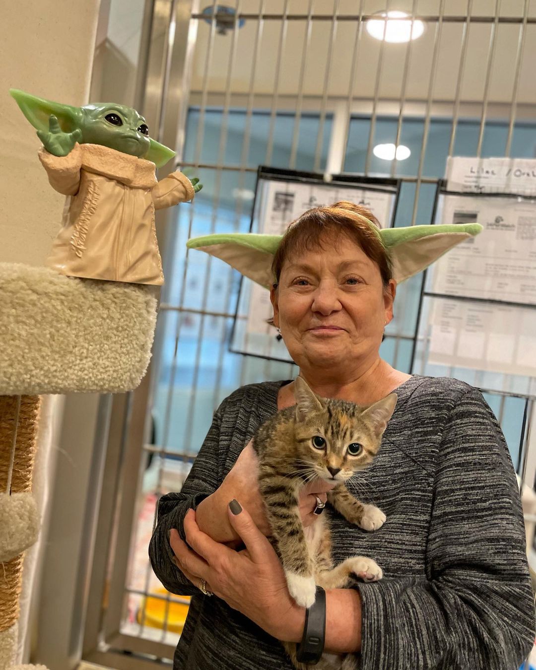 The force is strong with our furry younglings ✨

Kitten season never really let up here at Pet Helpers. We’re still seeing tiny paws coming into our shelter from all across the galaxy each day. With winter approaching, adoptions are needed more than ever so we can continue to bring in homeless fur babies away from the increasingly harsh conditions outside. ❄️

We’re open for walk-in adoptions this week from 12-6; stop by and meet kittens so cute they put Baby Yoda to shame 💚

We are in desperate need of dry cat food to maintain our community food bank and cat colonies we administer to. You can save lives without adopting by donating dry cat food either in person during shelter hours or by following the link in our bio to donate through our @chewy wishlist 💙