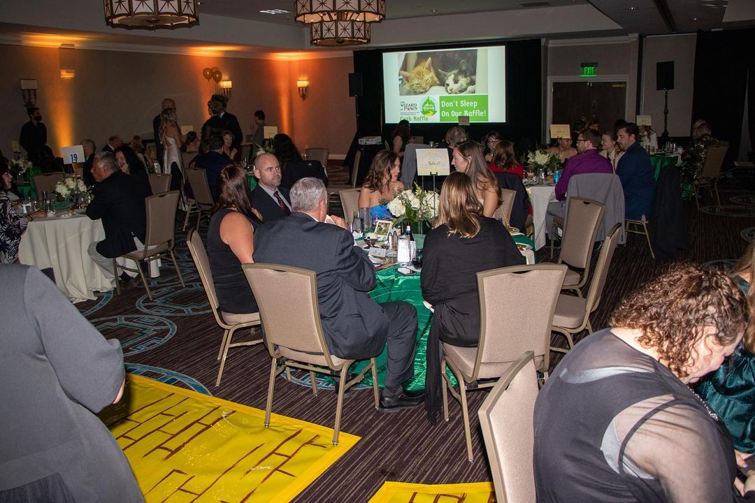 Oh what a night it was! 

One more huge thank you to all who made the “Wizard of Paws” Fur Ball possible! We were able to well exceed our goal and raise almost $50,000 to help us continue our mission in 2022!

Thank you to our staff, volunteers, guests, donors, bidders, sponsors, Fox Audio Visual, Sprinkles & Pfeiffer Productions, Charleston Marriott, DJ Scott Sain, and our host Tom Crawford for helping make the night so special!

Check out more snapshots from the night through the link in the bio thanks to our amazing photographer @theportlygentleman68 📸