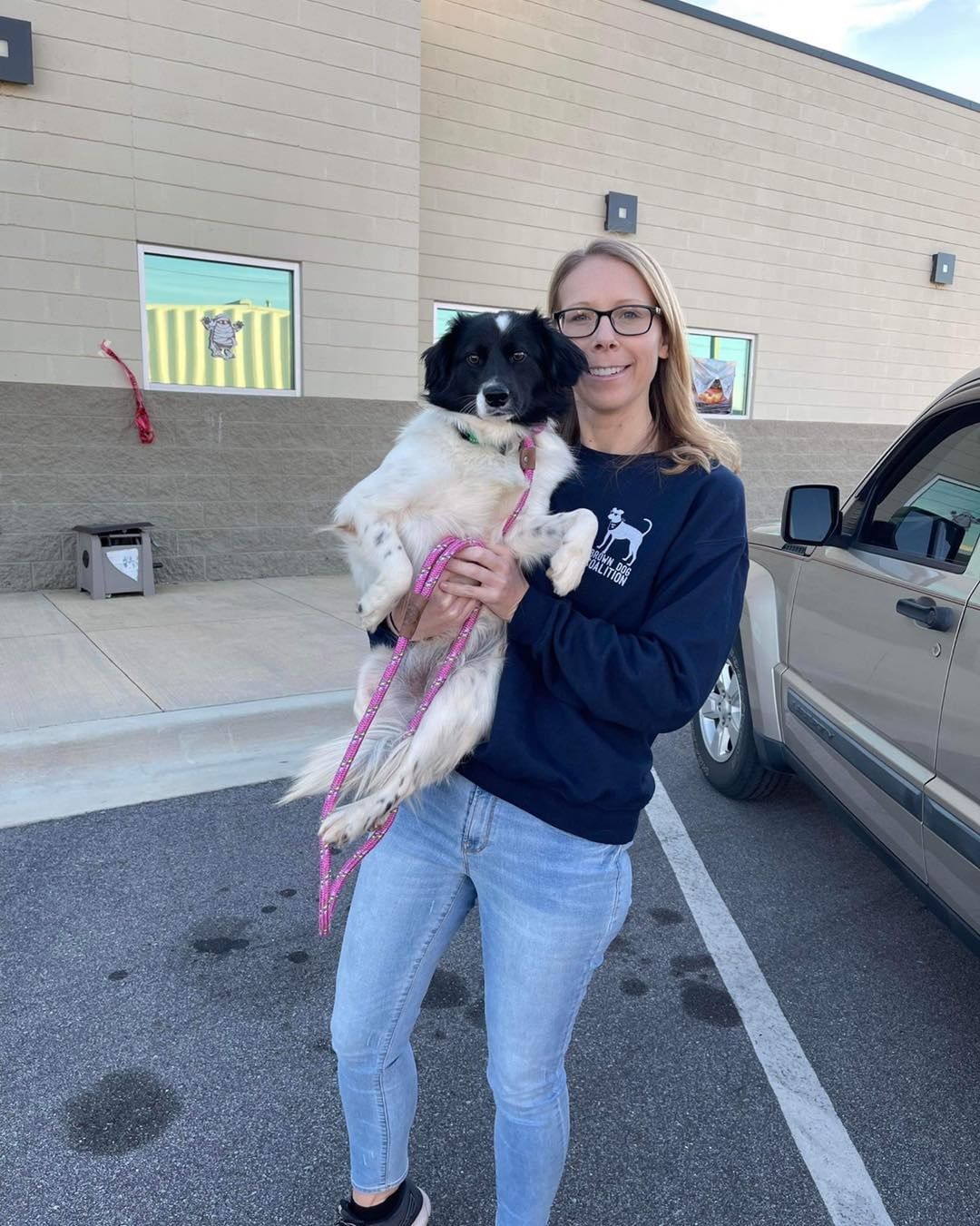 Here they come, Massachusetts! 🚐 

2️⃣6️⃣ animals are officially on their way to new beginnings. We are so grateful to the fosters, volunteers, and our wonderful transporter for making this happen. 💖 We could not do this without them! 

But wait! 🛑 We still have several animals who have yet to find their forever homes. Head to www.browndogcoalition.com to see who’s still waiting. ⏰