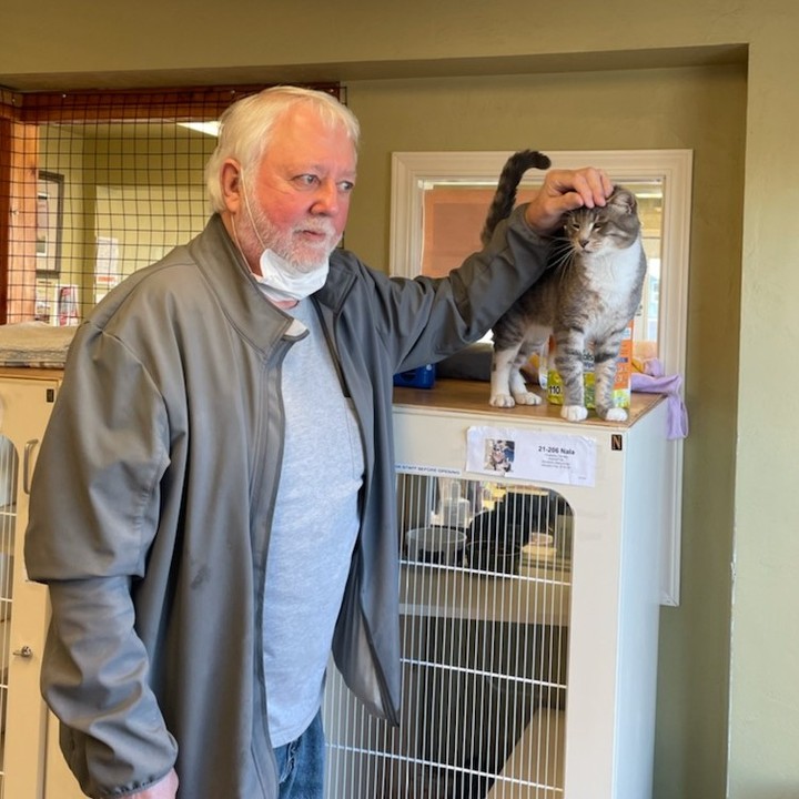 We're still on this amazing adoption streak and we're loving it!

The beautiful Julie got adopted today! She actually got picked by a lovely gentleman who has adopted from us before, so we were more than happy to see him back and ready to open his door to more furry companions.

Bones was pretty 