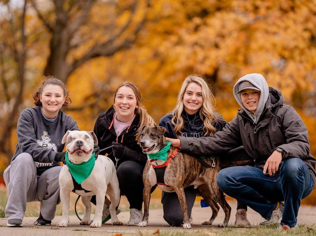 Beautiful @cardioforcanines on Saturday, captured by @madisonreneephoto 🍁🍂