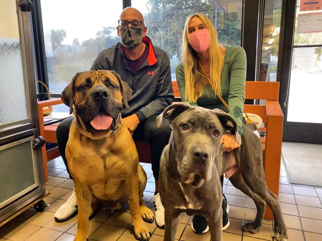 We’ve got BIG adoption update! Beau (right ) found his forever home yesterday and a new brother Jake (left) to help him feel right at home. Congratulations to the happy family!