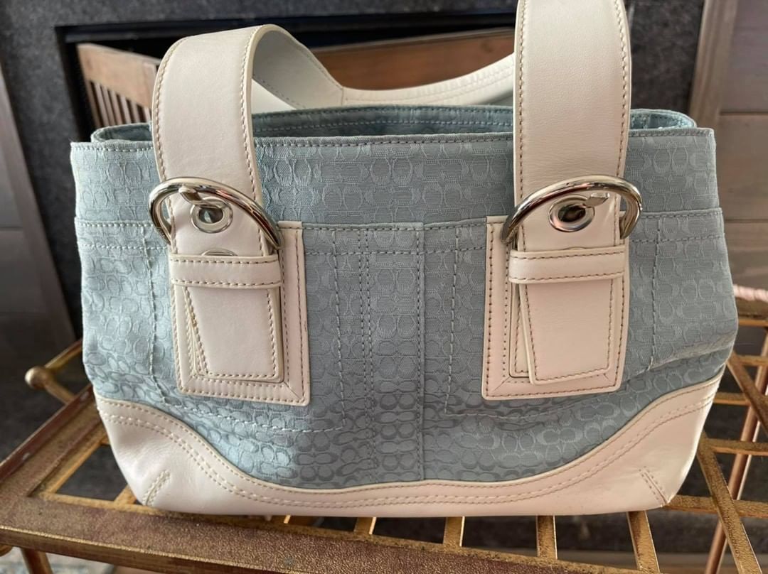 A sneak peek of some of the purses will have at Purses 4 Pawz this Friday! Stop by Leaf and Bean Newnan to place your bids!! 

The first is a lovely black Coach large enough to hold a laptop and all it essentials 🤩

Proceeds from the purse auction go to NCHS cats and dogs 😻