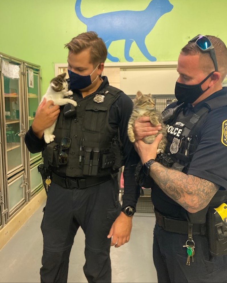 Time for another Norfolks <a target='_blank' href='https://www.instagram.com/explore/tags/finestandfurriest/'>#finestandfurriest</a> with the @norfolkpd ! The animals are always so thrilled to hang out with some new faces while they wait for their adoption day. Thanks to all of the Officers and Corporal for coming to spend time with our animals. Interested in coming by to view the adoptable animals also? Pop over to our website where you can make an appointment during the week, or on weekends no appointments needed. All of our adoptable animals can also be viewed online! www.norfolk.gov/NACC 

Picture 1: Officer Tako & Happy the senior cat. 
Picture 2: Officers Tako & Martin with 2 adopted kittens. 
Picture 3: Officer Martin with Boss the hamster. 
Picture 4: Officer Taylor & Moth Man. 
Picture 5: Officer Irizarry & Lola (adopted)
Picture 6: Officer Tako & CJ (transferred to another rescue)
Picture 7: Officer Irizarry & Rebound (adopted)
Picture 8: Corporal Valdez & Watson (adopted)
Picture 9: Officer Martin & Teddy (adopted)
Picture 10: Officers Tako & Martin with Jackalope. 

<a target='_blank' href='https://www.instagram.com/explore/tags/adoptnacc/'>#adoptnacc</a> <a target='_blank' href='https://www.instagram.com/explore/tags/fosternacc/'>#fosternacc</a> 
☎️ 757-441-5505
📧 nacc@norfolk.gov
📍 5585 Sabre Road Norfolk, Virginia 23502