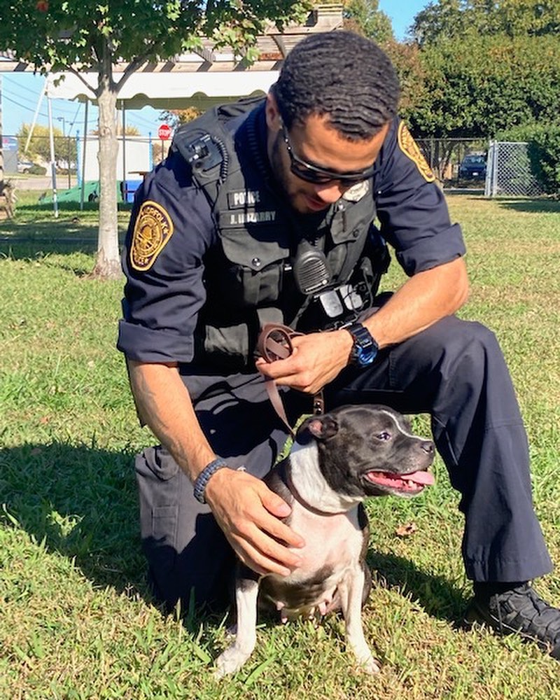 Time for another Norfolks <a target='_blank' href='https://www.instagram.com/explore/tags/finestandfurriest/'>#finestandfurriest</a> with the @norfolkpd ! The animals are always so thrilled to hang out with some new faces while they wait for their adoption day. Thanks to all of the Officers and Corporal for coming to spend time with our animals. Interested in coming by to view the adoptable animals also? Pop over to our website where you can make an appointment during the week, or on weekends no appointments needed. All of our adoptable animals can also be viewed online! www.norfolk.gov/NACC 

Picture 1: Officer Tako & Happy the senior cat. 
Picture 2: Officers Tako & Martin with 2 adopted kittens. 
Picture 3: Officer Martin with Boss the hamster. 
Picture 4: Officer Taylor & Moth Man. 
Picture 5: Officer Irizarry & Lola (adopted)
Picture 6: Officer Tako & CJ (transferred to another rescue)
Picture 7: Officer Irizarry & Rebound (adopted)
Picture 8: Corporal Valdez & Watson (adopted)
Picture 9: Officer Martin & Teddy (adopted)
Picture 10: Officers Tako & Martin with Jackalope. 

<a target='_blank' href='https://www.instagram.com/explore/tags/adoptnacc/'>#adoptnacc</a> <a target='_blank' href='https://www.instagram.com/explore/tags/fosternacc/'>#fosternacc</a> 
☎️ 757-441-5505
📧 nacc@norfolk.gov
📍 5585 Sabre Road Norfolk, Virginia 23502