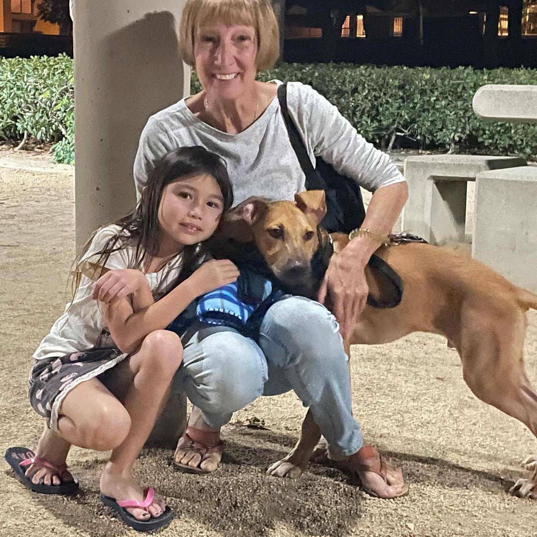 Woohoooooo! Churro found his forever family! 🎉

Thank you to the Gallagher family for adopting this sweet boy ❤️, the Bauhofer family for stepping up to foster him, and thank you to everyone who supported our birthday fundraiser in October so we could save Churro!

Swipe to see Churro the day we saved him 😢 Such a transformation! For those who missed it, Churro was dumped at the shelter and became gravely ill. After saving him, our vet was worried he wouldn’t make it through the weekend, but he said noooo way Jose 💪 Churro slowly but surely started to gain weight and turn back into a healthy puppy!

We are so happy for Churro and so grateful to all of YOU who help us save dogs that have a harder time making it out of the shelter alive. We are on a mission from Dog!