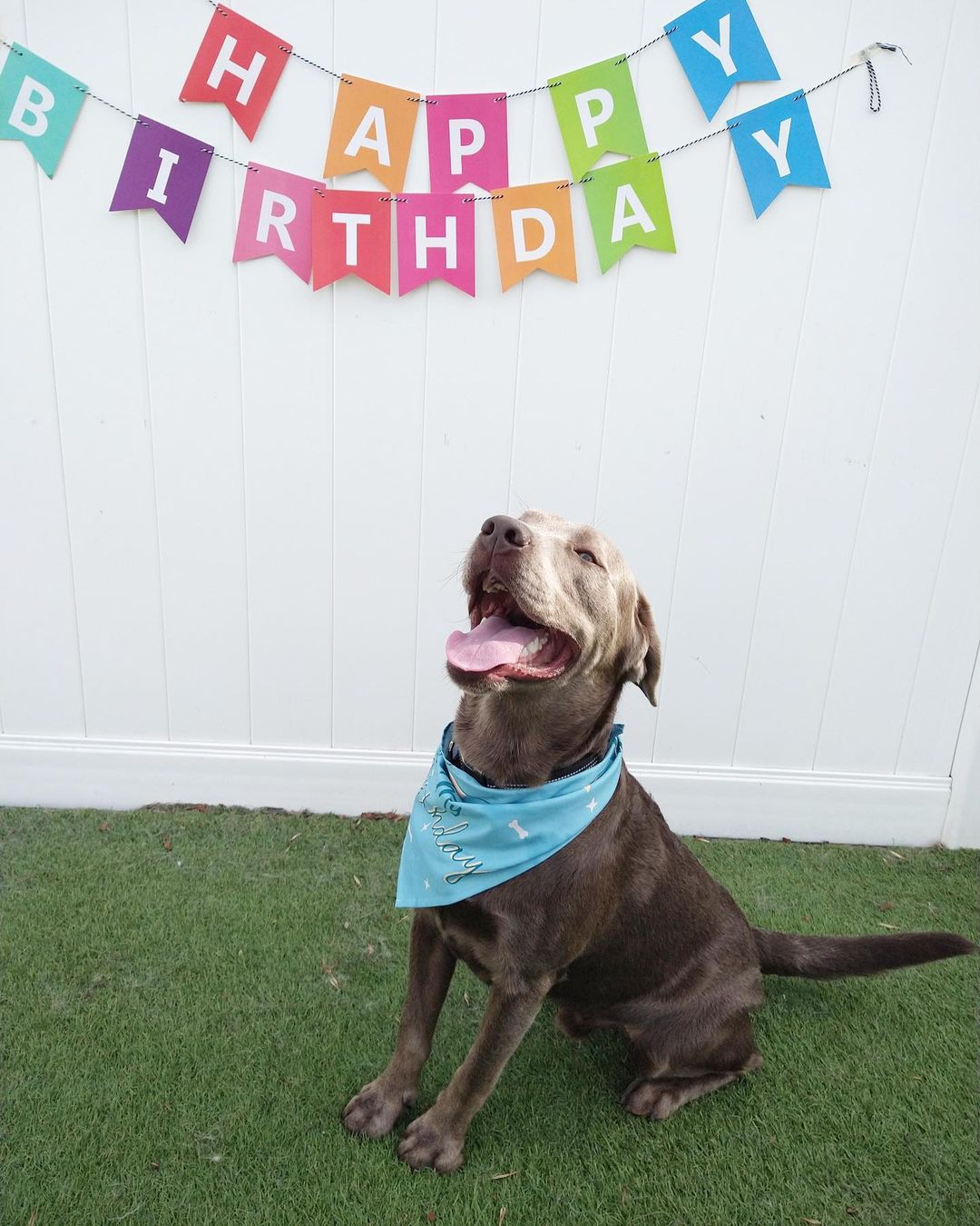 Happy first birthday to Hakoda! 🥳 thanks for spending it with us bud, hope it’s a good one!