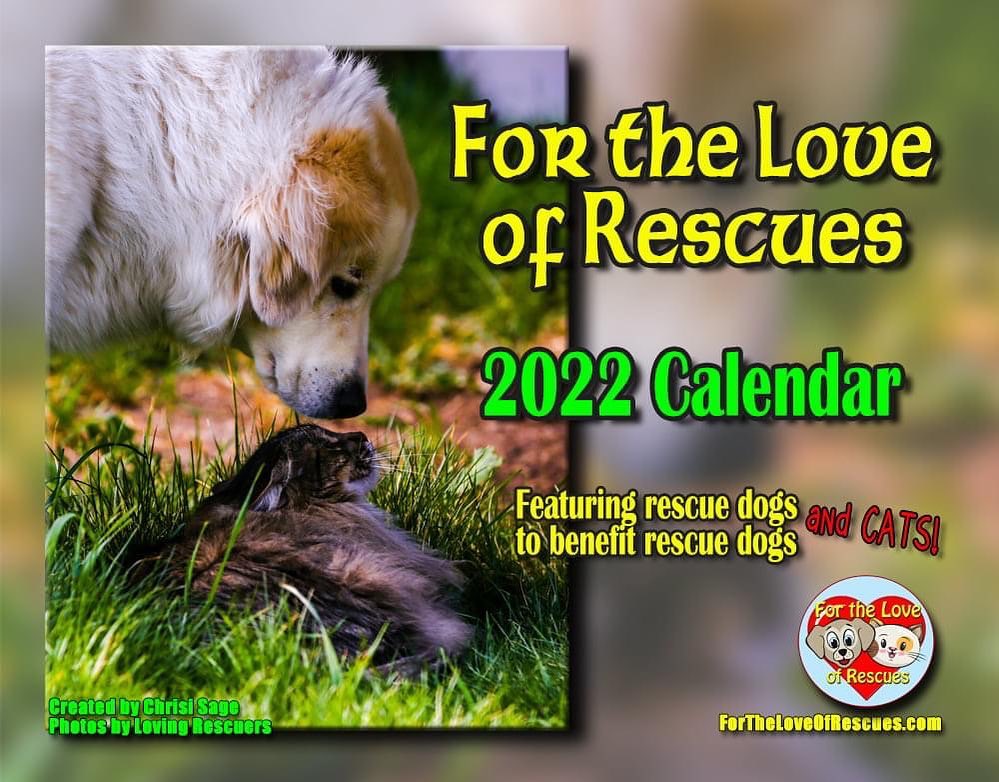 2022 Calendars are in buy a calendar and pick Adopt Me Rescue and your purchase will be donated to AMR. Calendars are HERE and ready to ship! $20 each (FREE shipping on orders of 2 or more) Help save the lives of homeless animals and enjoy a full year of happy faces.  100% of the proceeds go to the participating rescue group of your choice!
http://fortheloveofrescues.com