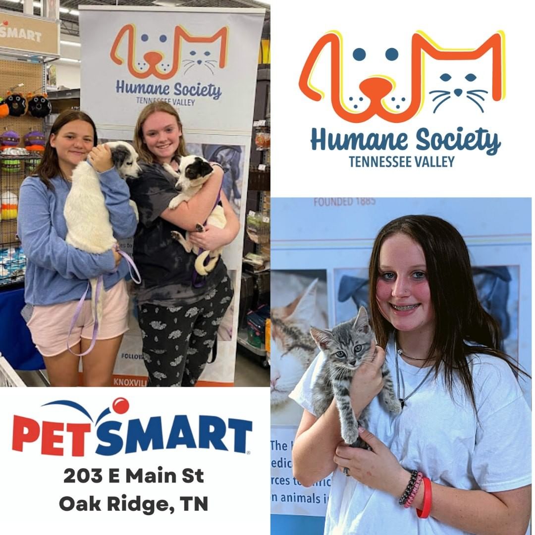 We are once again traveling over to our friends at the Oak Ridge PetSmart with several adoptable animals! Stop by this Saturday between 12 and 5 pm to meet our adorable adoptables, and maybe even take one home!

https://fb.me/e/1W91augDE