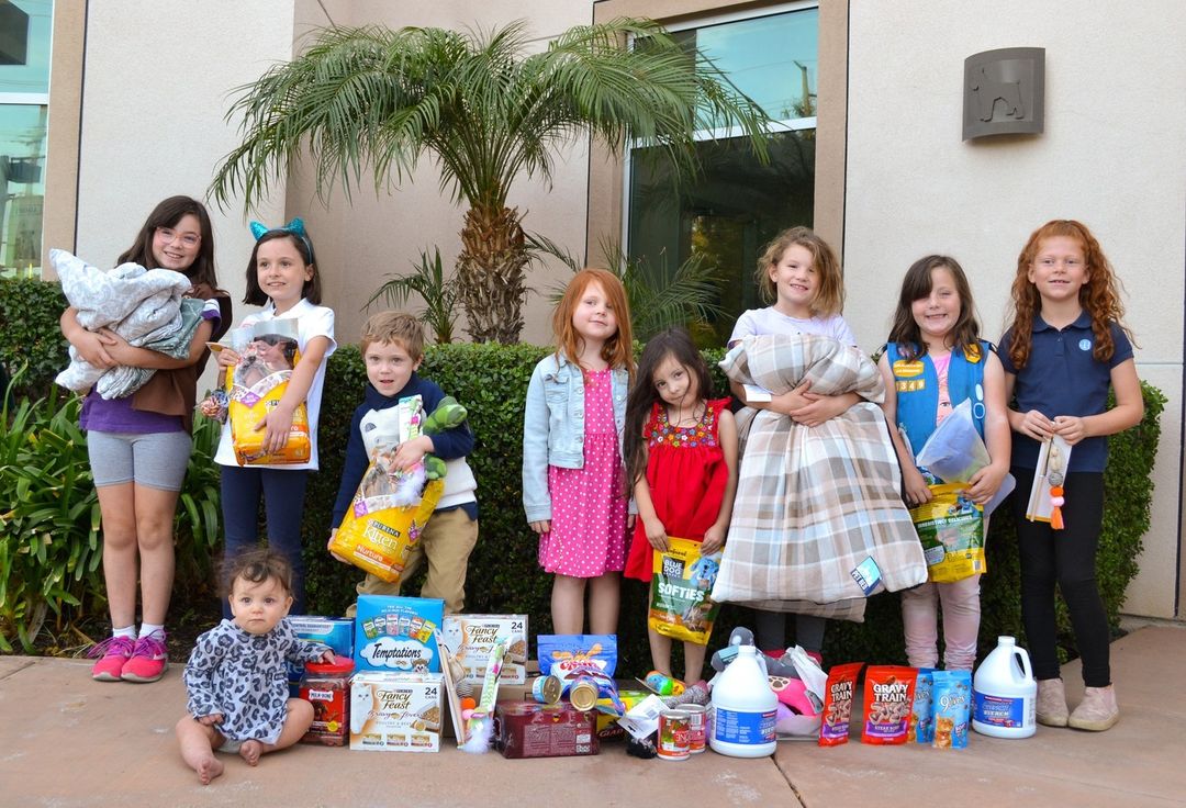 A big thank you to Girl Scouts Troop <a target='_blank' href='https://www.instagram.com/explore/tags/2349/'>#2349</a> on their service project donation drive for our shelter. They gave our shelter pets many essential items, and we are loving the enthusiasm they all had to help out the animals!