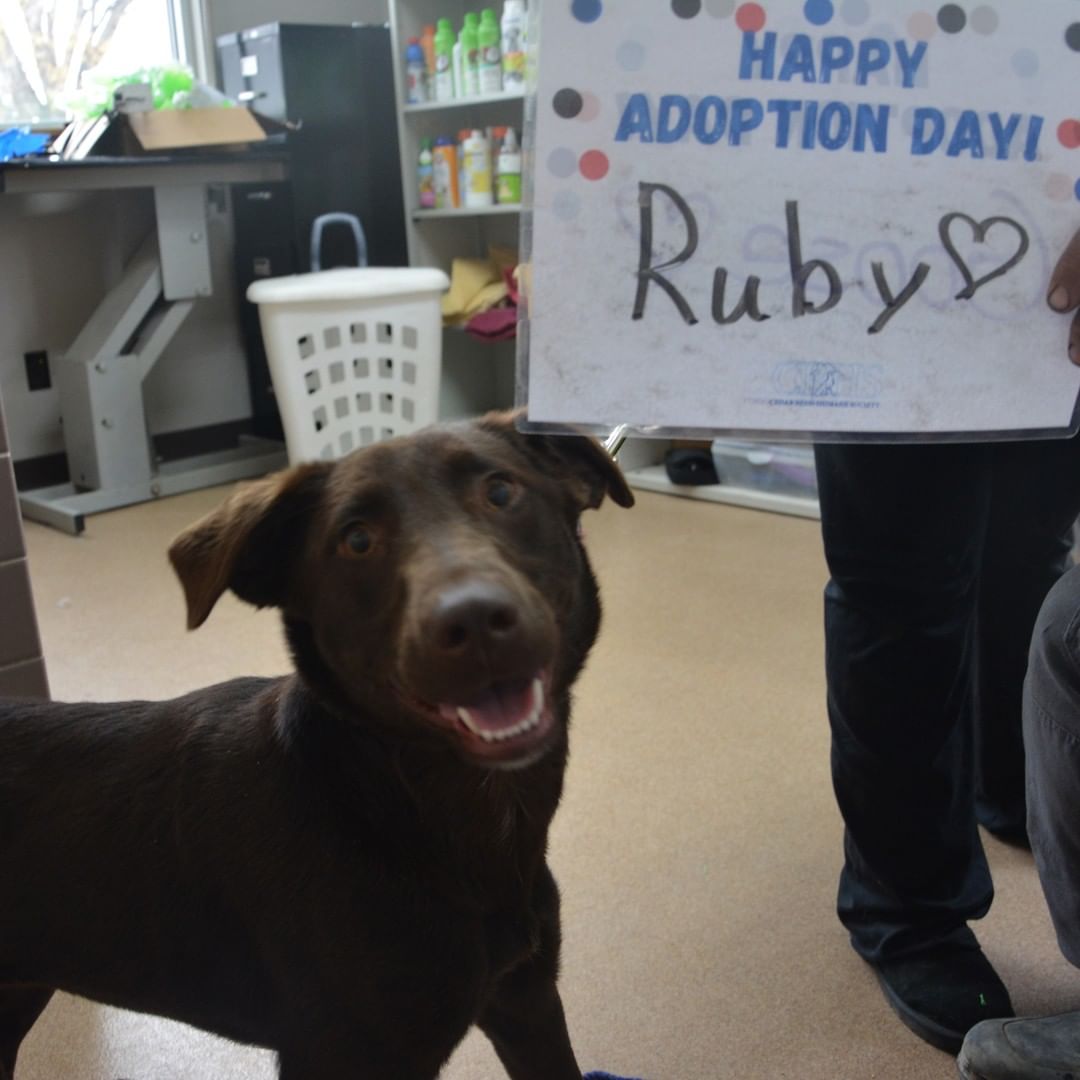 Happy Adoption Day! 🎉 Join us in celebrating all the adoptions that happened over the weekend.