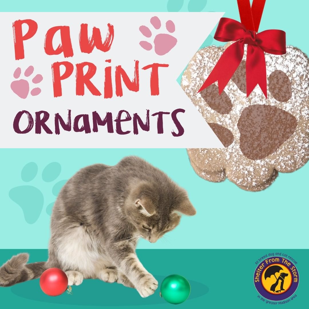 This December 4th we will be having our Annual Jingle Paws Festival!
 
Bring your pet and make paw print ornaments with the help of our wonderful volunteers! Get a specially made ornament created by your very own pet!
 
Pre-purchase tickets for the evet will be available soon so keep an eye out!, 

Vote for what other activities you'd like to see at the event: https://docs.google.com/.../1FAIpQLSdYGAPuAeSipA.../viewform