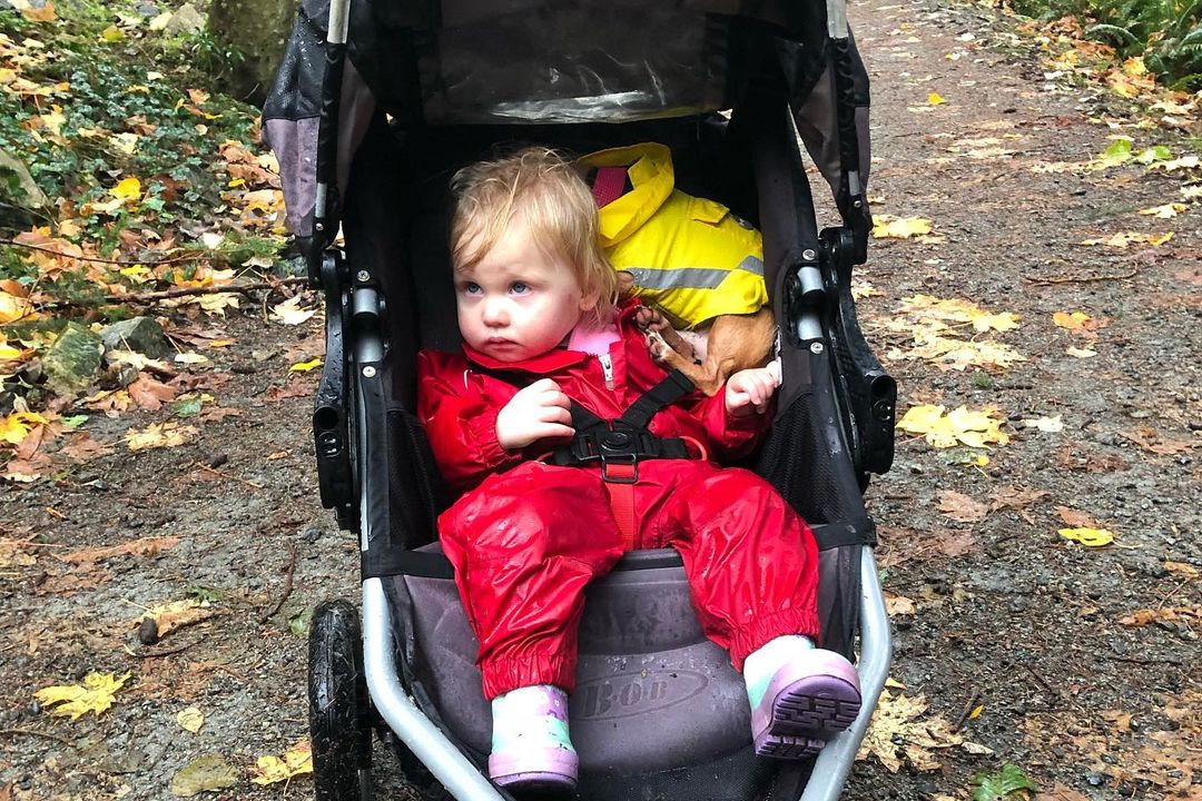 This is Roger. He loves walks, but isn’t so sure about walks in the rain. Thank goodness for his sister’s magic carriage he can hitch a ride in.