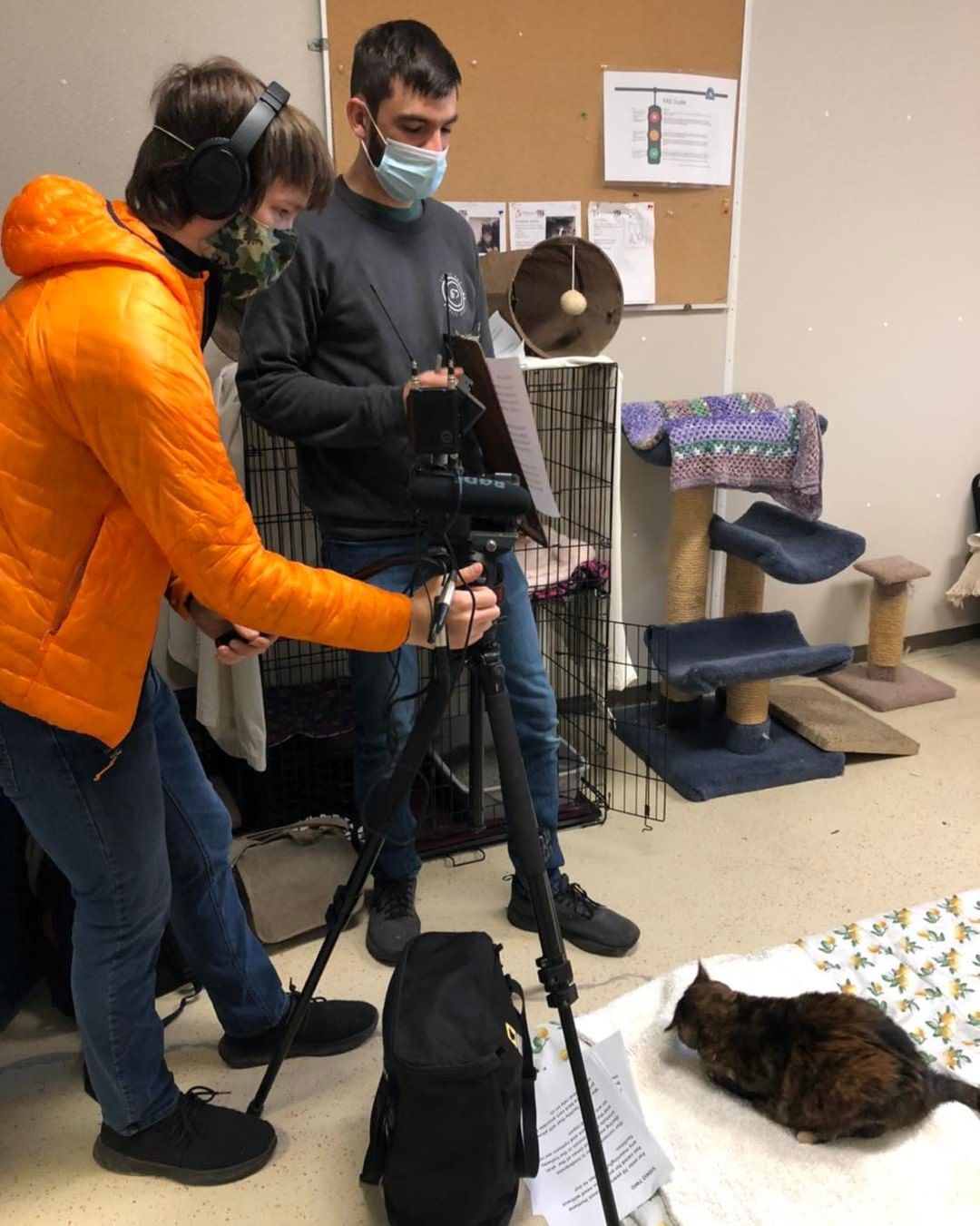 We’re working on an exciting project with @littledogcoffee and adoptable cat, Lola, has decided that she is the star of the show! For more information about Lola, visit our website today.