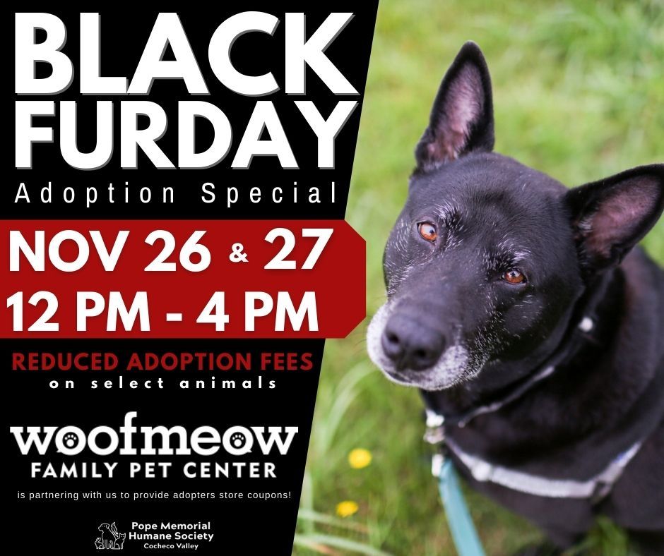 Join us for our Black Furday Adoption Special on November 26th and 27th! 

There will be reduced adoption fees up to 50% on select animals! Adopters with receive goody bags with coupons to Woofmeow and other pet items. 

Available animals can be viewed on our website and you can submit an adoption application for pre-approval.