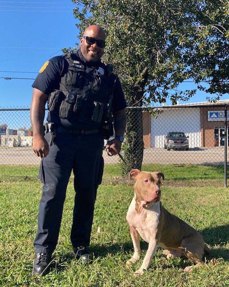 Time for another Norfolks <a target='_blank' href='https://www.instagram.com/explore/tags/finestandfurriest/'>#finestandfurriest</a> with the @norfolkpd ! The animals are always so thrilled to hang out with some new faces while they wait for their adoption day. Thanks to all of the Officers and Corporal for coming to spend time with our animals. Interested in coming by to view the adoptable animals also? Pop over to our website where you can make an appointment during the week, or on weekends no appointments needed. All of our adoptable animals can also be viewed online! www.norfolk.gov/NACC 

Picture 1: Officer Tako & Happy the senior cat. 
Picture 2: Officers Tako & Martin with 2 adopted kittens. 
Picture 3: Officer Martin with Boss the hamster. 
Picture 4: Officer Taylor & Moth Man. 
Picture 5: Officer Irizarry & Lola (adopted)
Picture 6: Officer Tako & CJ (transferred to another rescue)
Picture 7: Officer Irizarry & Rebound (adopted)
Picture 8: Corporal Valdez & Watson (adopted)
Picture 9: Officer Martin & Teddy (adopted)
Picture 10: Officers Tako & Martin with Jackalope. 

<a target='_blank' href='https://www.instagram.com/explore/tags/adoptnacc/'>#adoptnacc</a> <a target='_blank' href='https://www.instagram.com/explore/tags/fosternacc/'>#fosternacc</a> 
☎️ 757-441-5505
📧 nacc@norfolk.gov
📍 5585 Sabre Road Norfolk, Virginia 23502