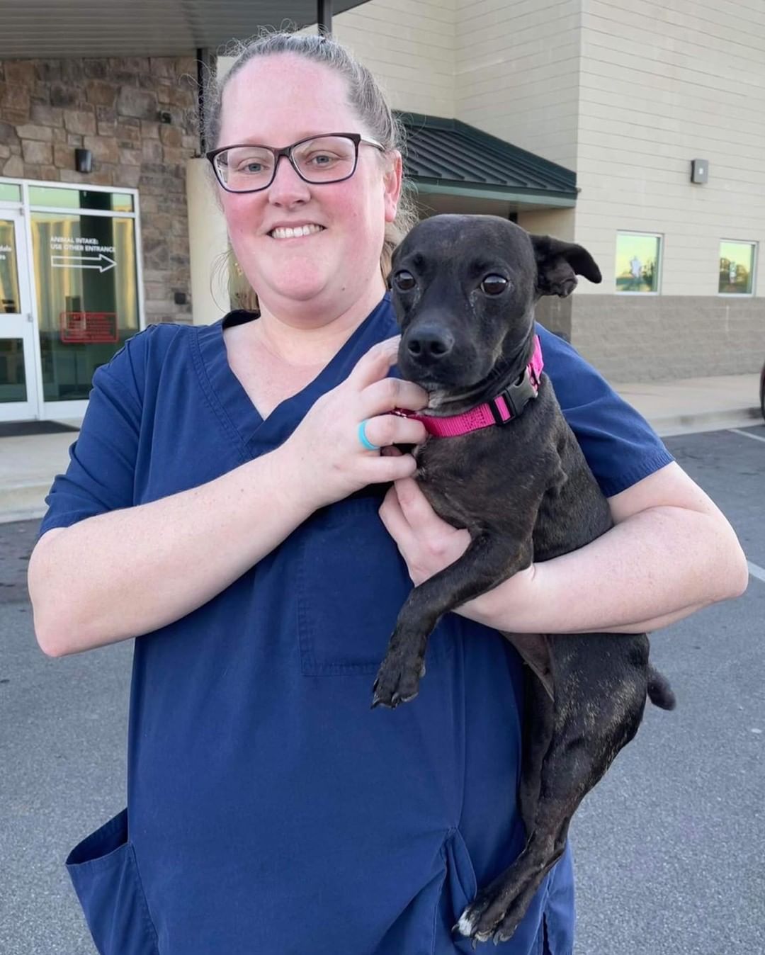 Here they come, Massachusetts! 🚐 

2️⃣6️⃣ animals are officially on their way to new beginnings. We are so grateful to the fosters, volunteers, and our wonderful transporter for making this happen. 💖 We could not do this without them! 

But wait! 🛑 We still have several animals who have yet to find their forever homes. Head to www.browndogcoalition.com to see who’s still waiting. ⏰