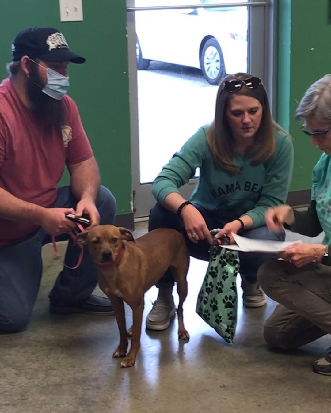 ARF rescues Tater, Popcorn & Cadie recently went to their forever homes. Little Cadie had been waiting for her family since January 🐾