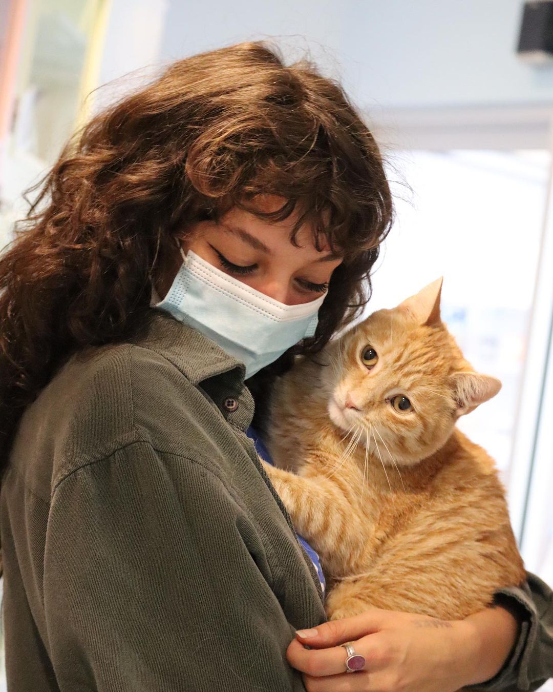 With the saddest eyes, the orangest fur, and cuddliest beans: it’s BOB! 🐯

Someone get this puss some boots and call Dream Works to have Bob star in the live adaptation of Shrek, because he’s seriously the real-life Puss and Boots!

This funny little man is quick witted, fast on his feet, and smooth with the ladies. Bob has FIV, but don’t let that turn you away! Bob still has plenty of life to live as long as he is an only cat or can live with other FIV+ cats. 

Stop by his cat condo in Pet Helpers’ Rainbow Row from 12-6 this week to meet Bob: the real Puss in Boots 🐯👢🗡

.
.
.
.
.
<a target='_blank' href='https://www.instagram.com/explore/tags/pussinboots/'>#pussinboots</a> <a target='_blank' href='https://www.instagram.com/explore/tags/shrek/'>#shrek</a> <a target='_blank' href='https://www.instagram.com/explore/tags/shrek2/'>#shrek2</a> 
<a target='_blank' href='https://www.instagram.com/explore/tags/shrekislove/'>#shrekislove</a> <a target='_blank' href='https://www.instagram.com/explore/tags/shrekmemes/'>#shrekmemes</a> <a target='_blank' href='https://www.instagram.com/explore/tags/adopt/'>#adopt</a> <a target='_blank' href='https://www.instagram.com/explore/tags/gingercat/'>#gingercat</a> <a target='_blank' href='https://www.instagram.com/explore/tags/fiv/'>#fiv</a> <a target='_blank' href='https://www.instagram.com/explore/tags/fivcatsofinstagram/'>#fivcatsofinstagram</a> <a target='_blank' href='https://www.instagram.com/explore/tags/catstagram/'>#catstagram</a> <a target='_blank' href='https://www.instagram.com/explore/tags/catsofinstagram/'>#catsofinstagram</a> <a target='_blank' href='https://www.instagram.com/explore/tags/sheltercat/'>#sheltercat</a> <a target='_blank' href='https://www.instagram.com/explore/tags/adoptdontshop/'>#adoptdontshop</a> <a target='_blank' href='https://www.instagram.com/explore/tags/charleston/'>#charleston</a> <a target='_blank' href='https://www.instagram.com/explore/tags/rainbowrow/'>#rainbowrow</a> <a target='_blank' href='https://www.instagram.com/explore/tags/lowcountry/'>#lowcountry</a> <a target='_blank' href='https://www.instagram.com/explore/tags/rescue/'>#rescue</a> <a target='_blank' href='https://www.instagram.com/explore/tags/rescuecat/'>#rescuecat</a> <a target='_blank' href='https://www.instagram.com/explore/tags/rescuecatsofinstagram/'>#rescuecatsofinstagram</a> <a target='_blank' href='https://www.instagram.com/explore/tags/adoptme/'>#adoptme</a> <a target='_blank' href='https://www.instagram.com/explore/tags/pethelpers/'>#pethelpers</a> <a target='_blank' href='https://www.instagram.com/explore/tags/adoptable/'>#adoptable</a>