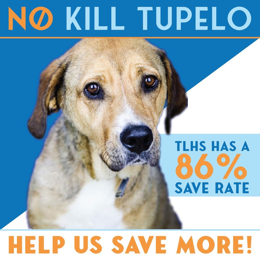 Did you know that we have a no kill initiative? For the past two years (2019/2020), we have had an 86% save rate. The standard for a No Kill initiative is 90%.

We currently have a 91% save rate for 2021 but we need your help and support to continue our mission and increase that rate. To help out, donate on our website.

<a target='_blank' href='https://www.instagram.com/explore/tags/TLHS/'>#TLHS</a> <a target='_blank' href='https://www.instagram.com/explore/tags/SaveOurShelter/'>#SaveOurShelter</a> <a target='_blank' href='https://www.instagram.com/explore/tags/SOS/'>#SOS</a> <a target='_blank' href='https://www.instagram.com/explore/tags/NoKillTupelo/'>#NoKillTupelo</a>