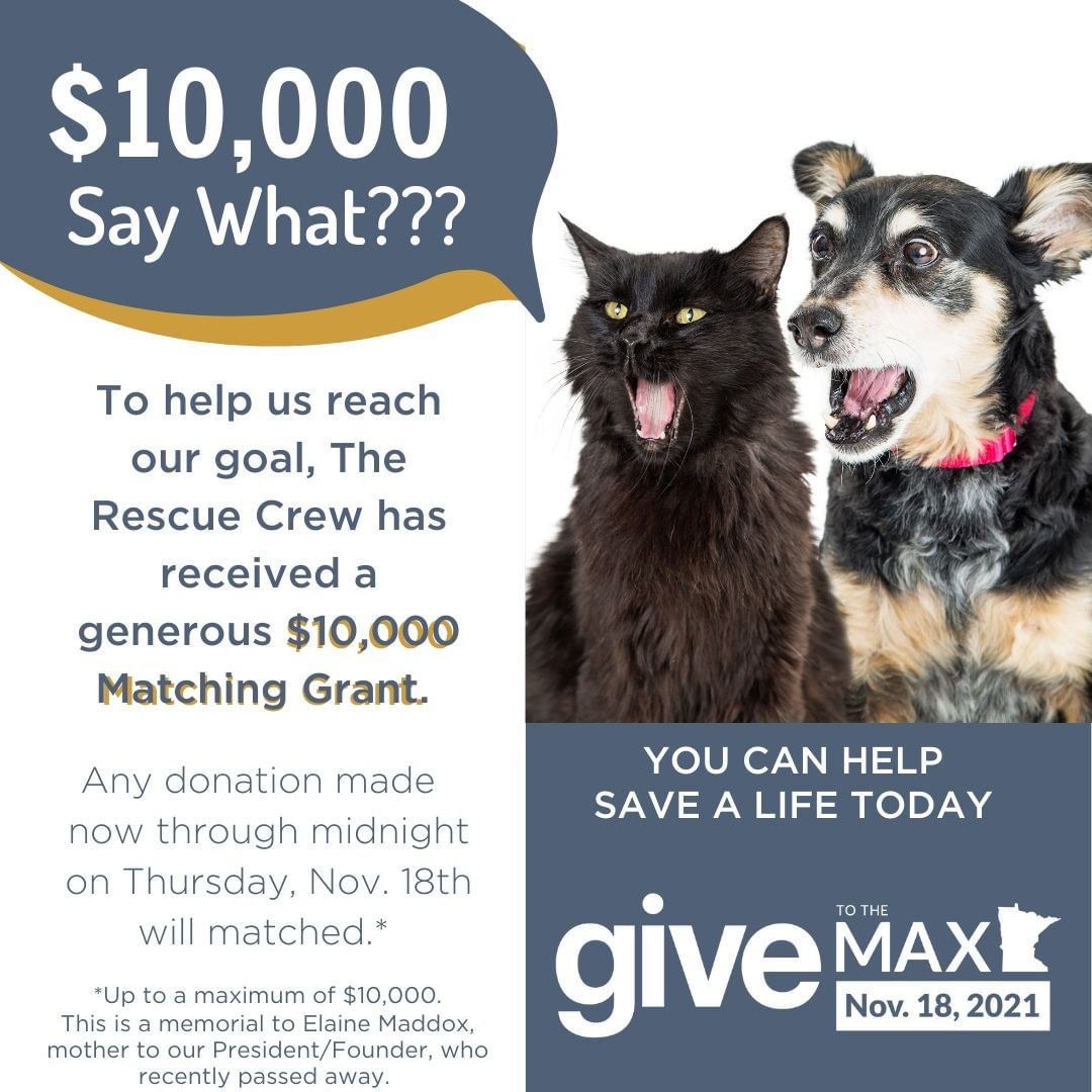 TODAY IS A GREAT DAY TO GIVE. Why?
Because your dollars can be doubled!!!
Minnesota's giving holiday, Give to the Max Day, is this Thursday. But don't wait to support The Rescue Crew. Early giving is open and thanks to a generous matching grant, you can double your donation to help our life saving mission. CLICK HERE TO HELP SAVE A LIFE TODAY: www.givemn.org/organization/Rescuecrew