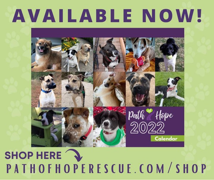 Are you ready for 12 months of cuteness?! Our first annual PHR calendar has arrived! Enjoy a year full of adorable dogs while supporting your favorite rescue. All proceeds from the calendar go right back to saving more lives💜💚
🗓 Calendars are available to order on our website or pick one up in person at our Winter Photoshoot, December 12th. 

https://pathofhoperescue.com/shop/