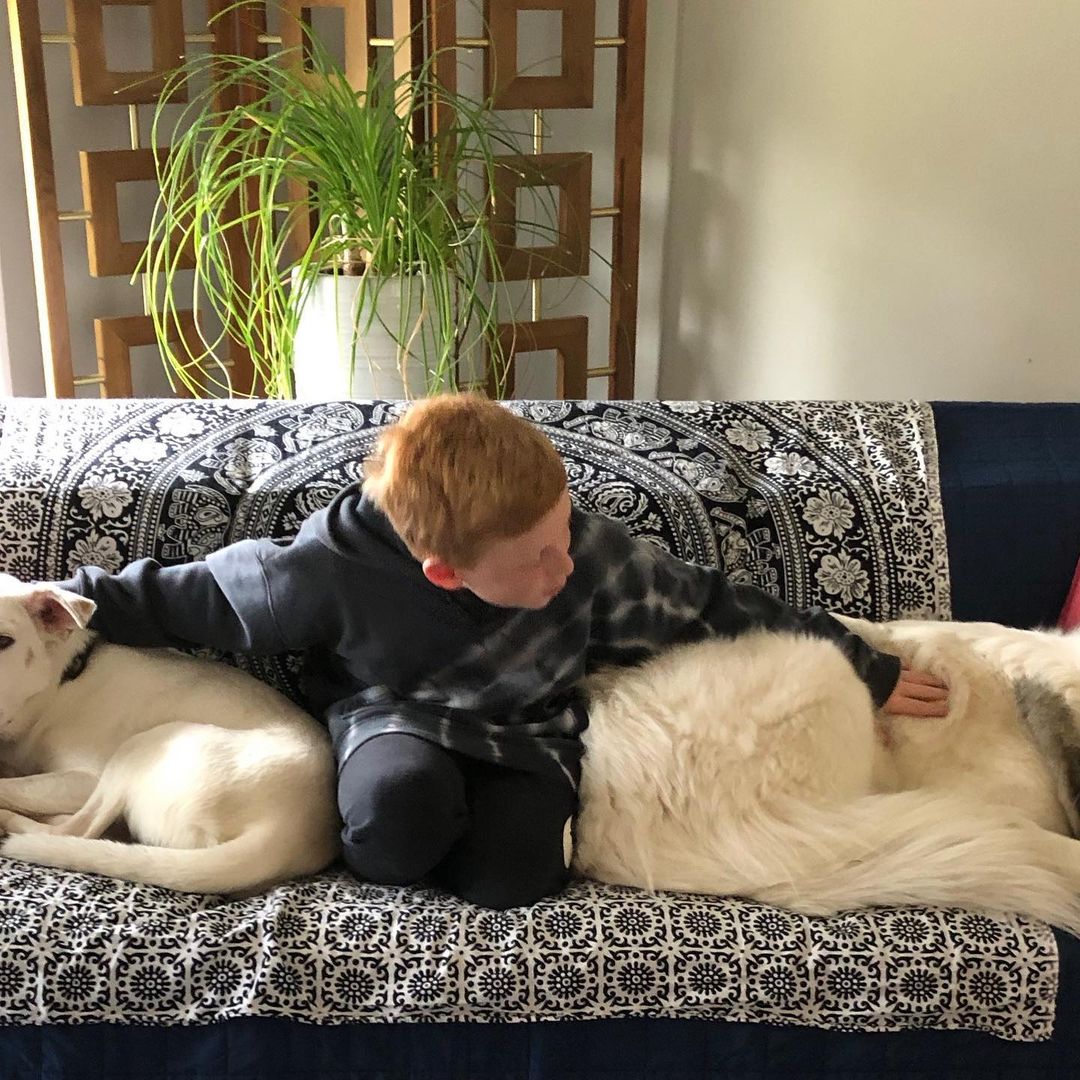 Canine Lucas is on the left but in the middle of a whole lotta love! One big happy family❤️🐾 <a target='_blank' href='https://www.instagram.com/explore/tags/ccpalrescue/'>#ccpalrescue</a> <a target='_blank' href='https://www.instagram.com/explore/tags/happilyeverafters/'>#happilyeverafters</a> <a target='_blank' href='https://www.instagram.com/explore/tags/successstories/'>#successstories</a>